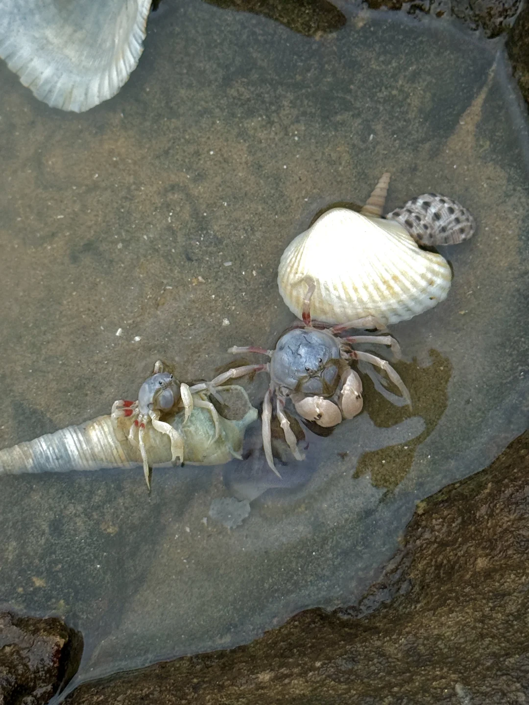 广西防城港 | 雨季游玩躺平出片攻略