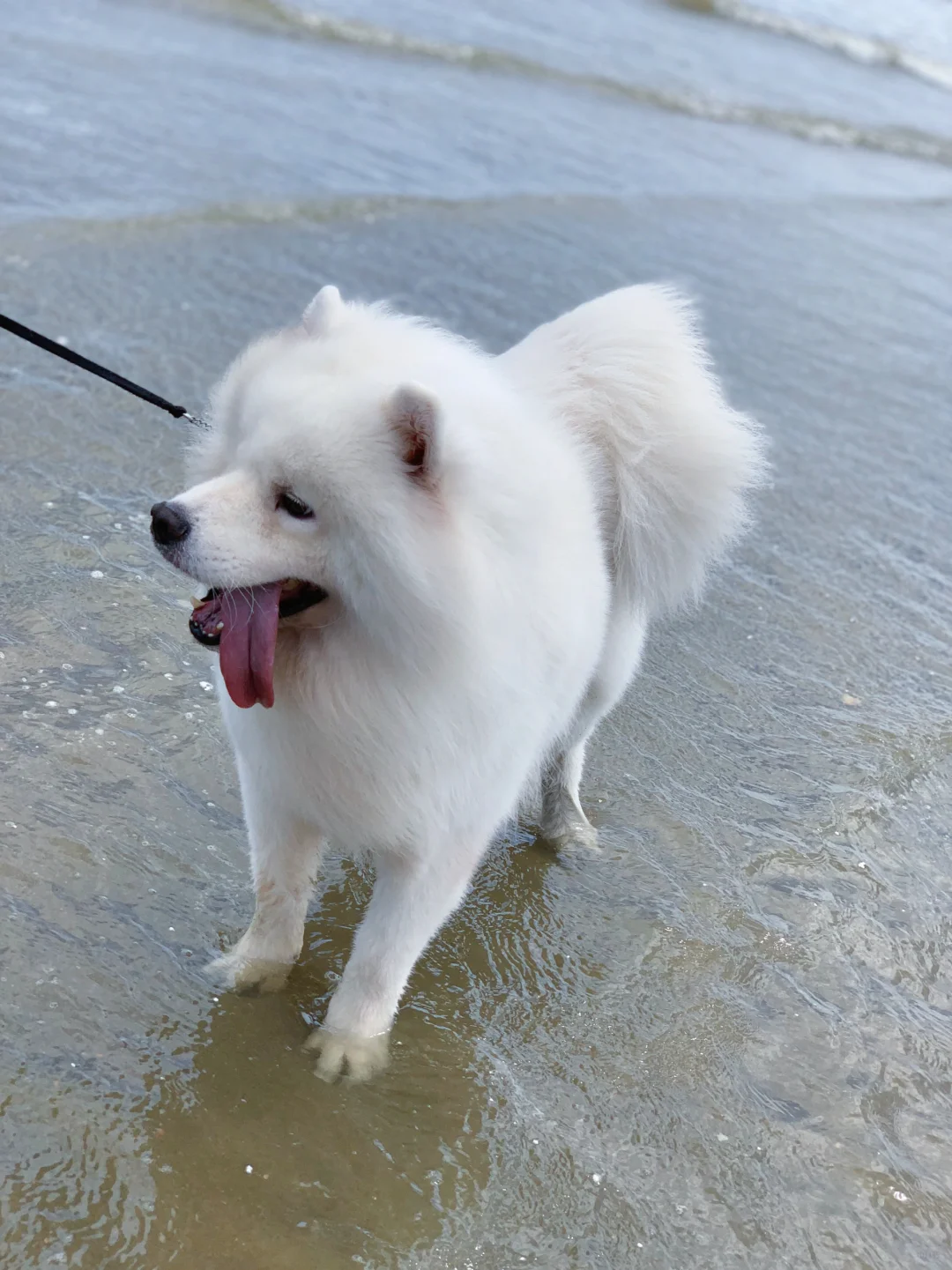 谁懂啊！不要相信防城港的天气预报！