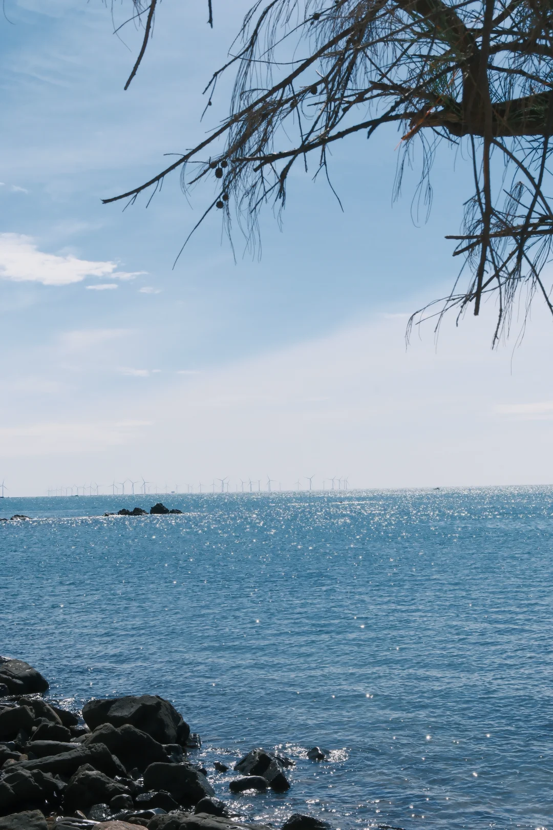 防城港怪石滩是真的出片