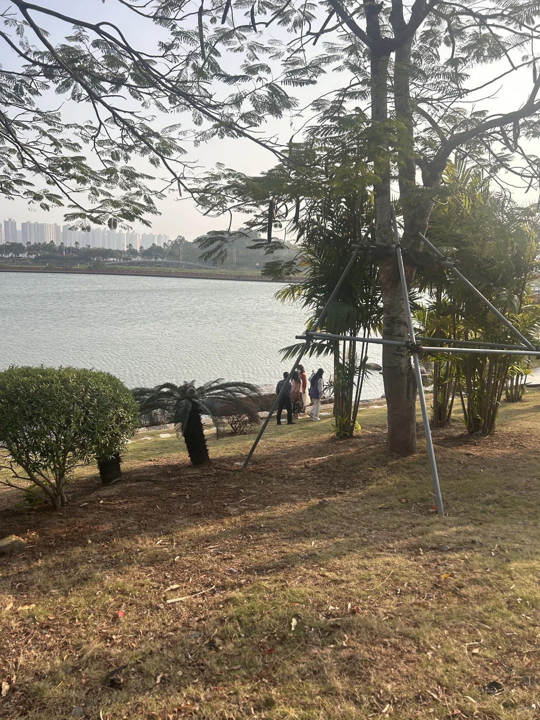 过冬了，防城港好多东北人