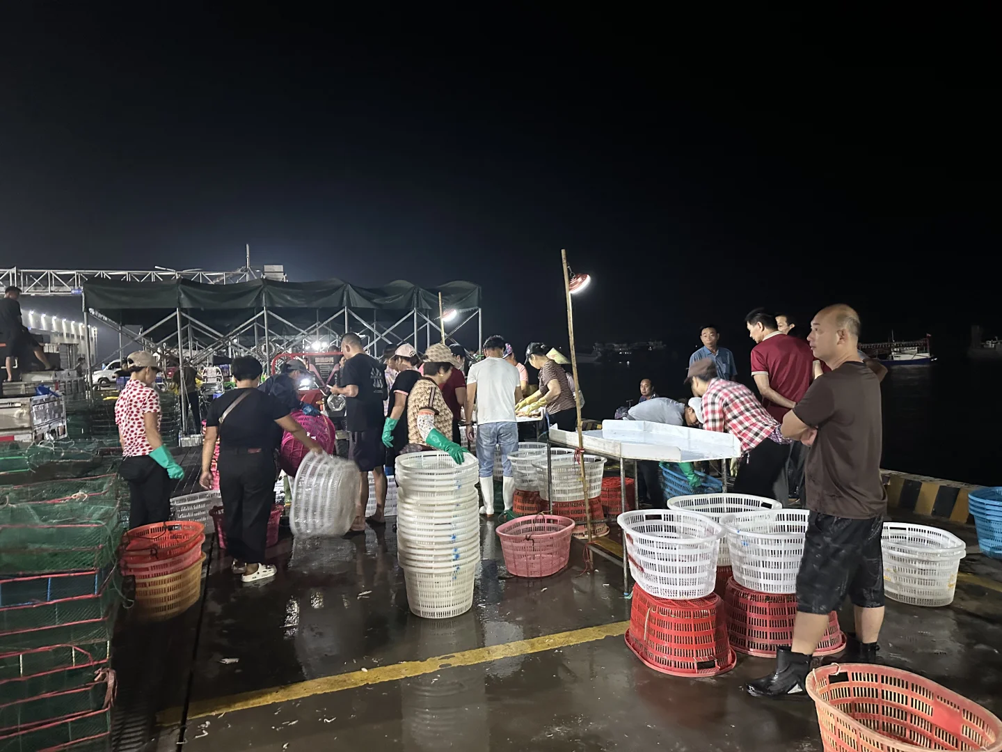 海鲜吃不完呀根本吃不完