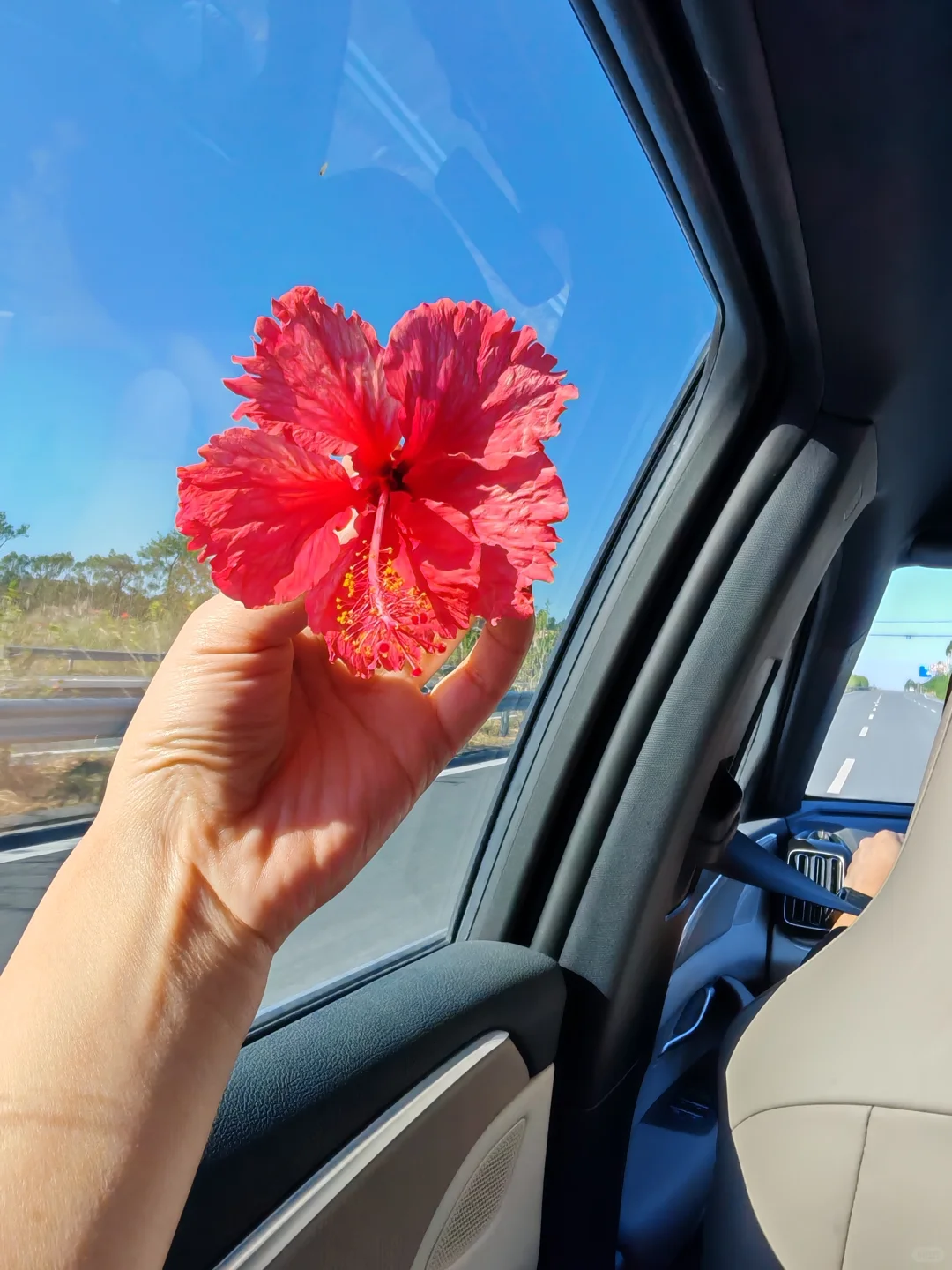 四川娃儿的第一个秋假