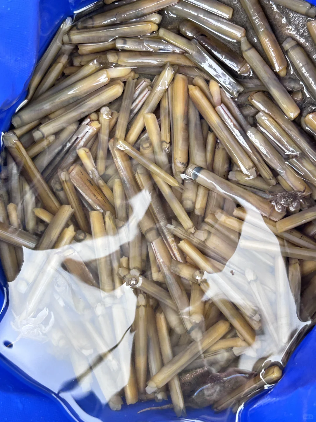 防城港｜蓝调时刻🐚 •*¨*•.¸🫧