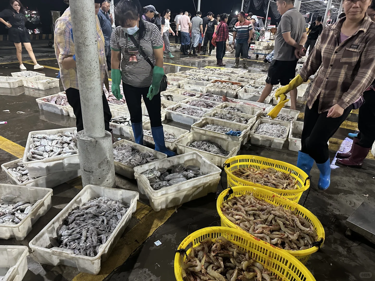 海鲜吃不完呀根本吃不完