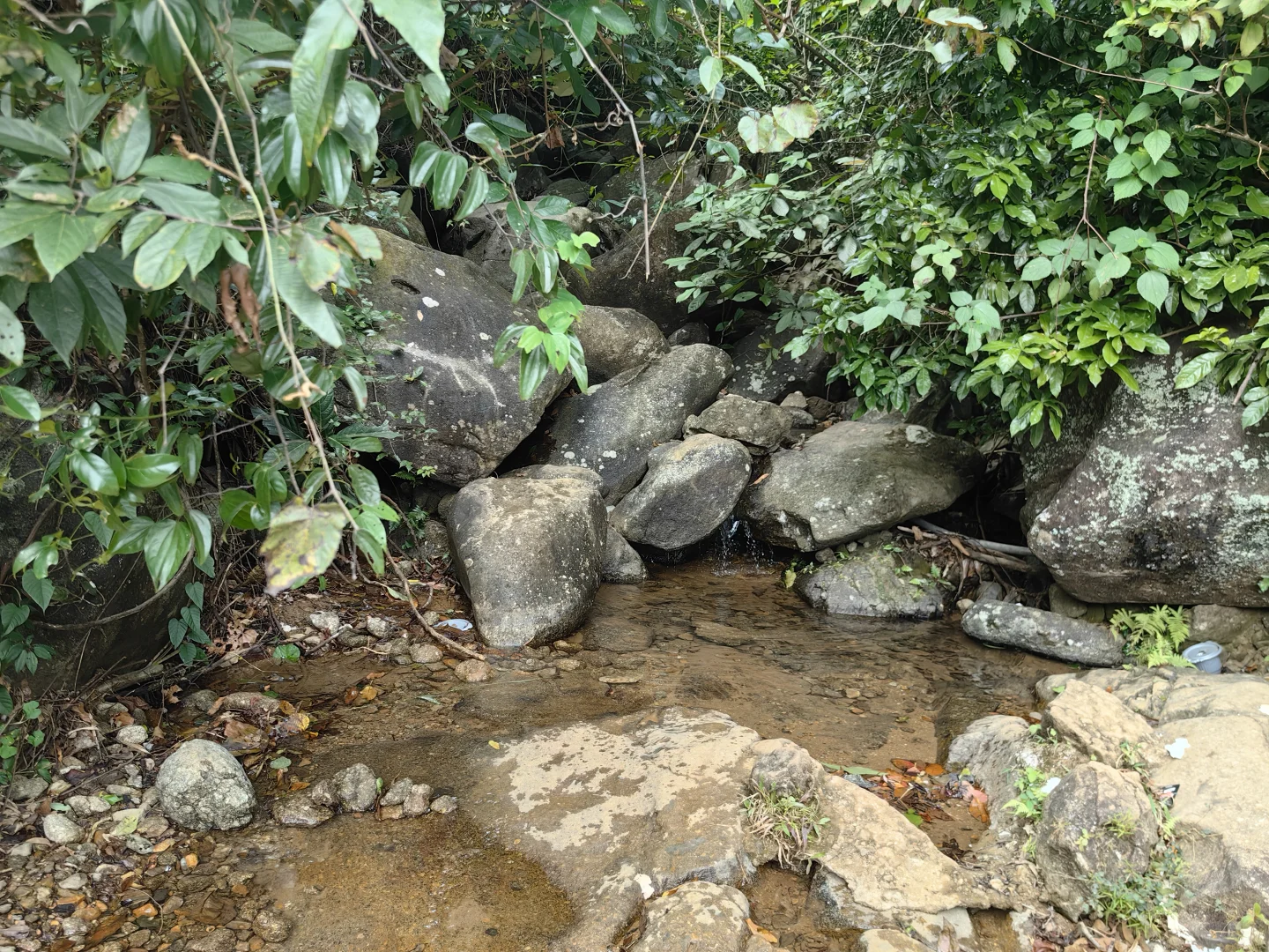 打卡防城港望洲顶