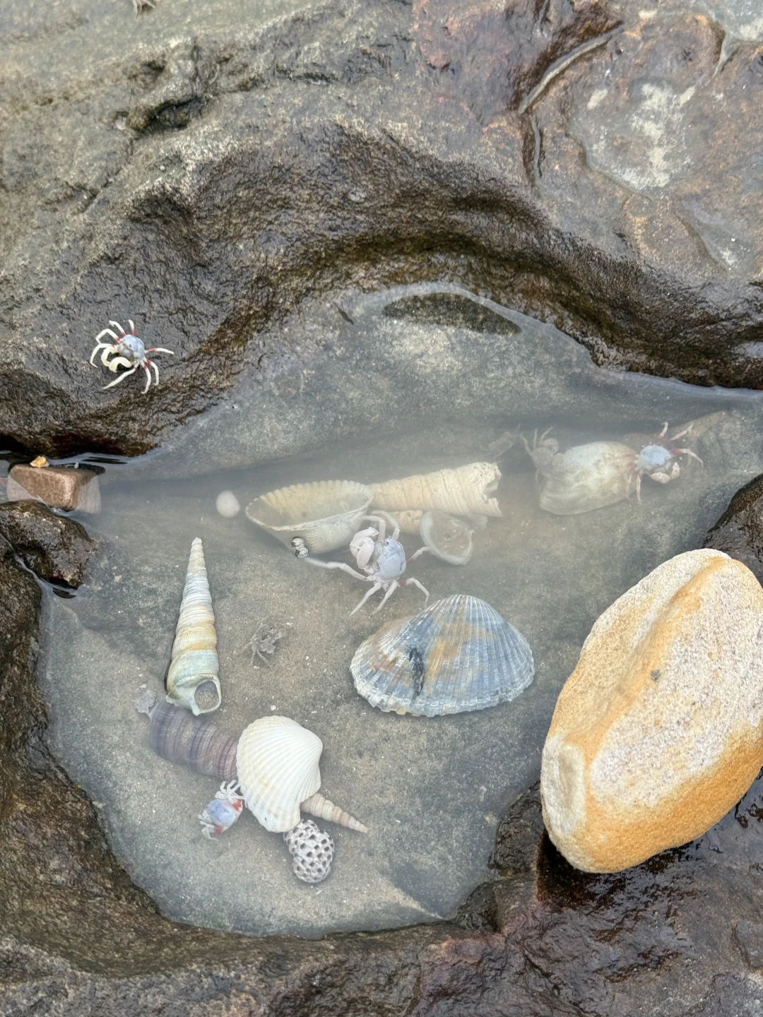广西防城港 | 雨季游玩躺平出片攻略