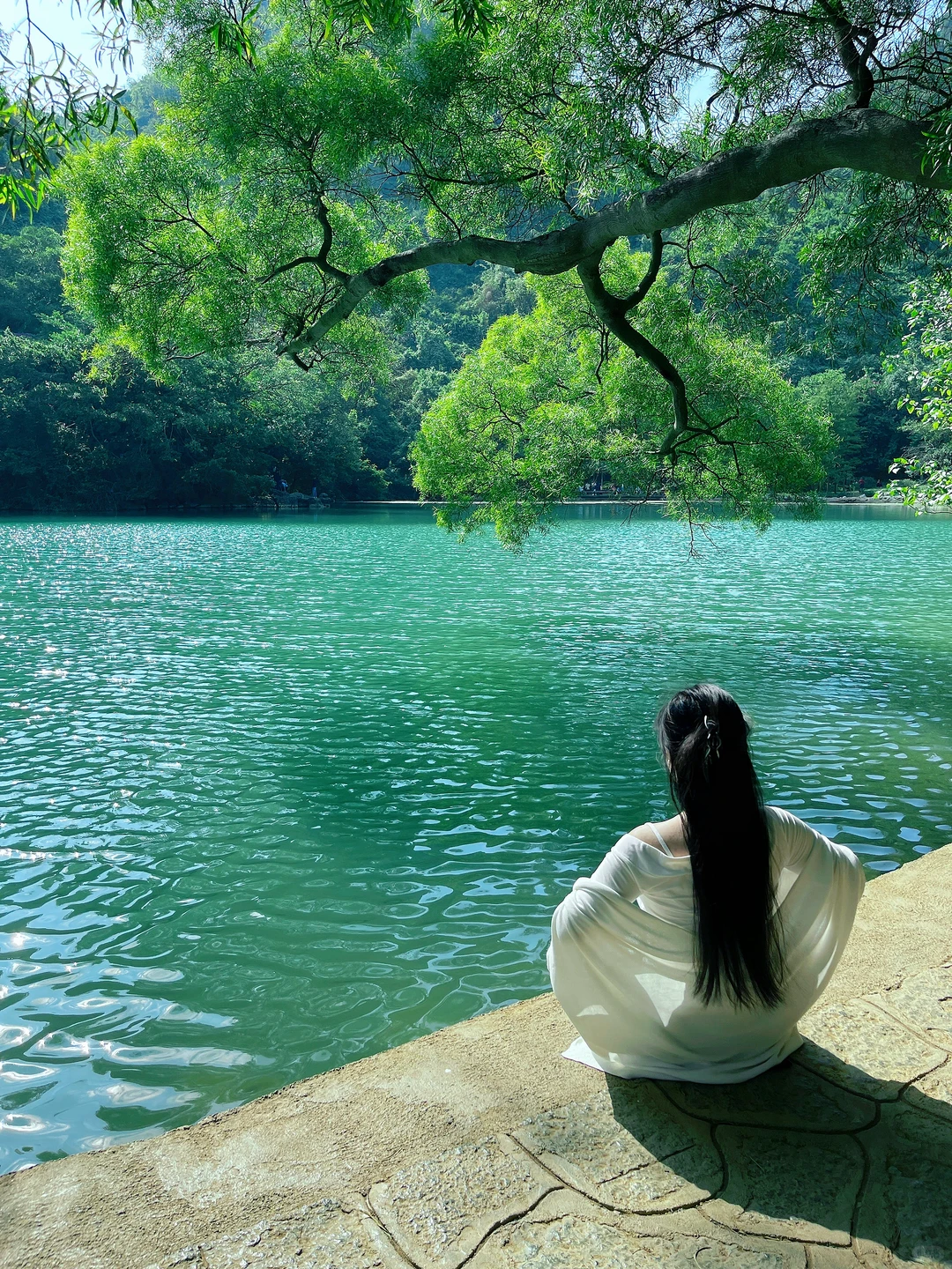 柳州｜绿宝石太出片了❇️龙潭公园最新攻略