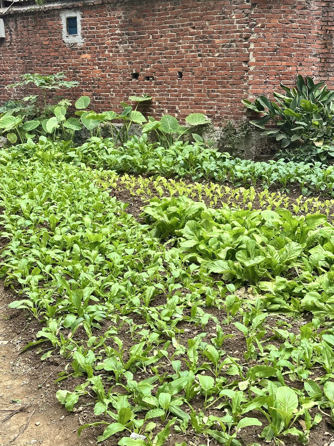 缺点是只有柳州有！！！！