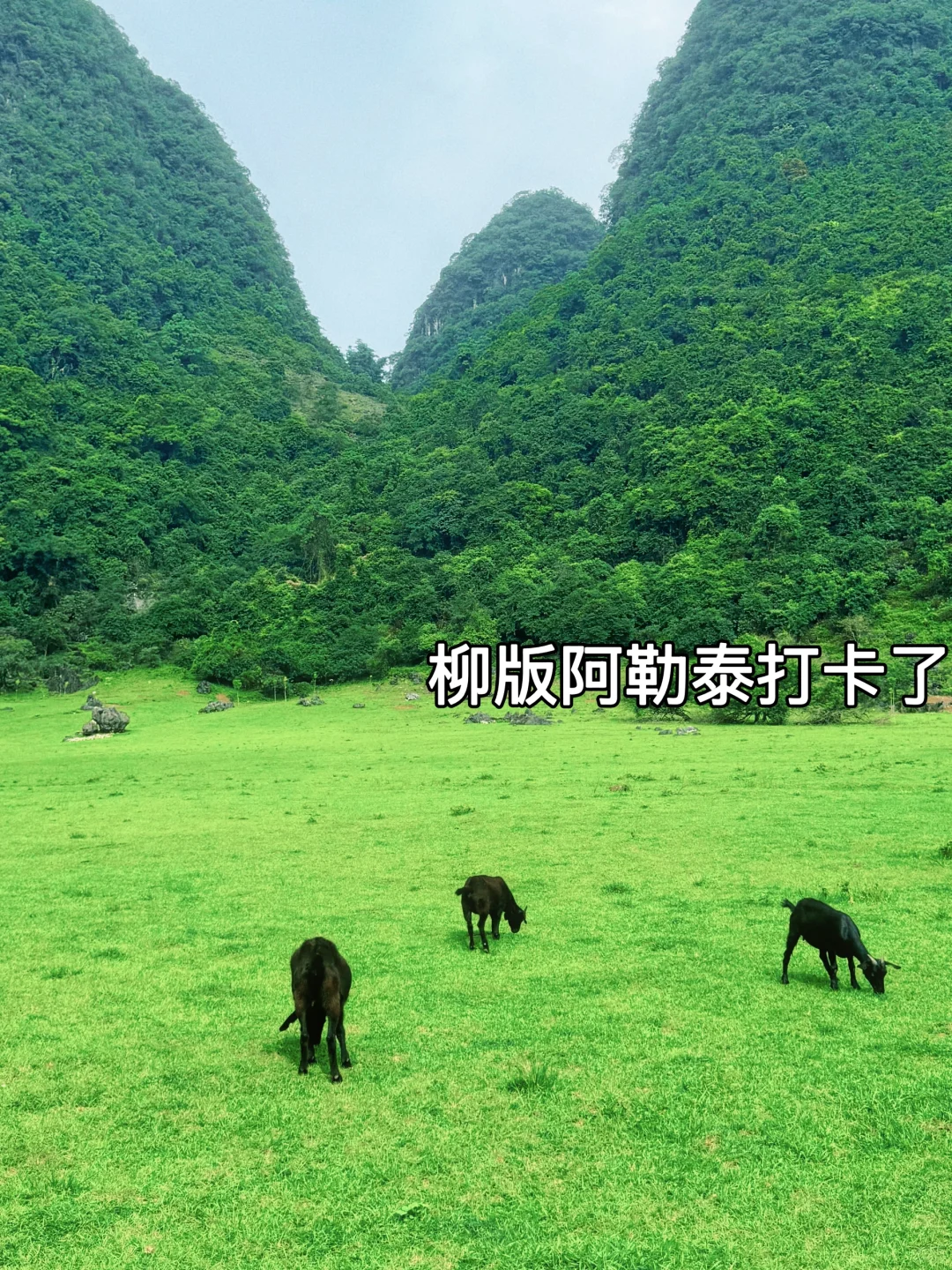 以为桂林够美了，直到带娃去了柳州避暑