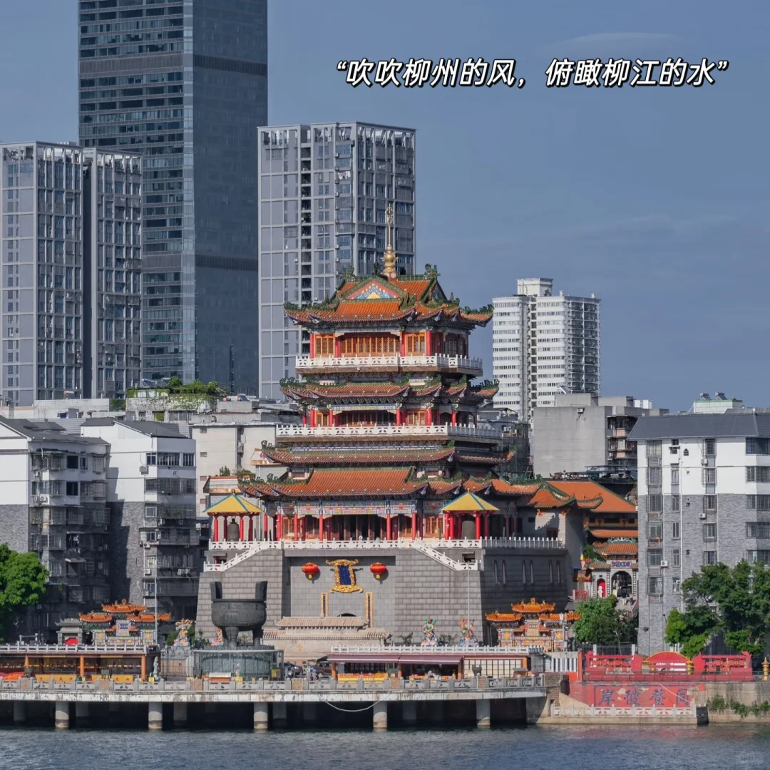 朋友圈分享|柳州live|滤镜plog|旅行文案