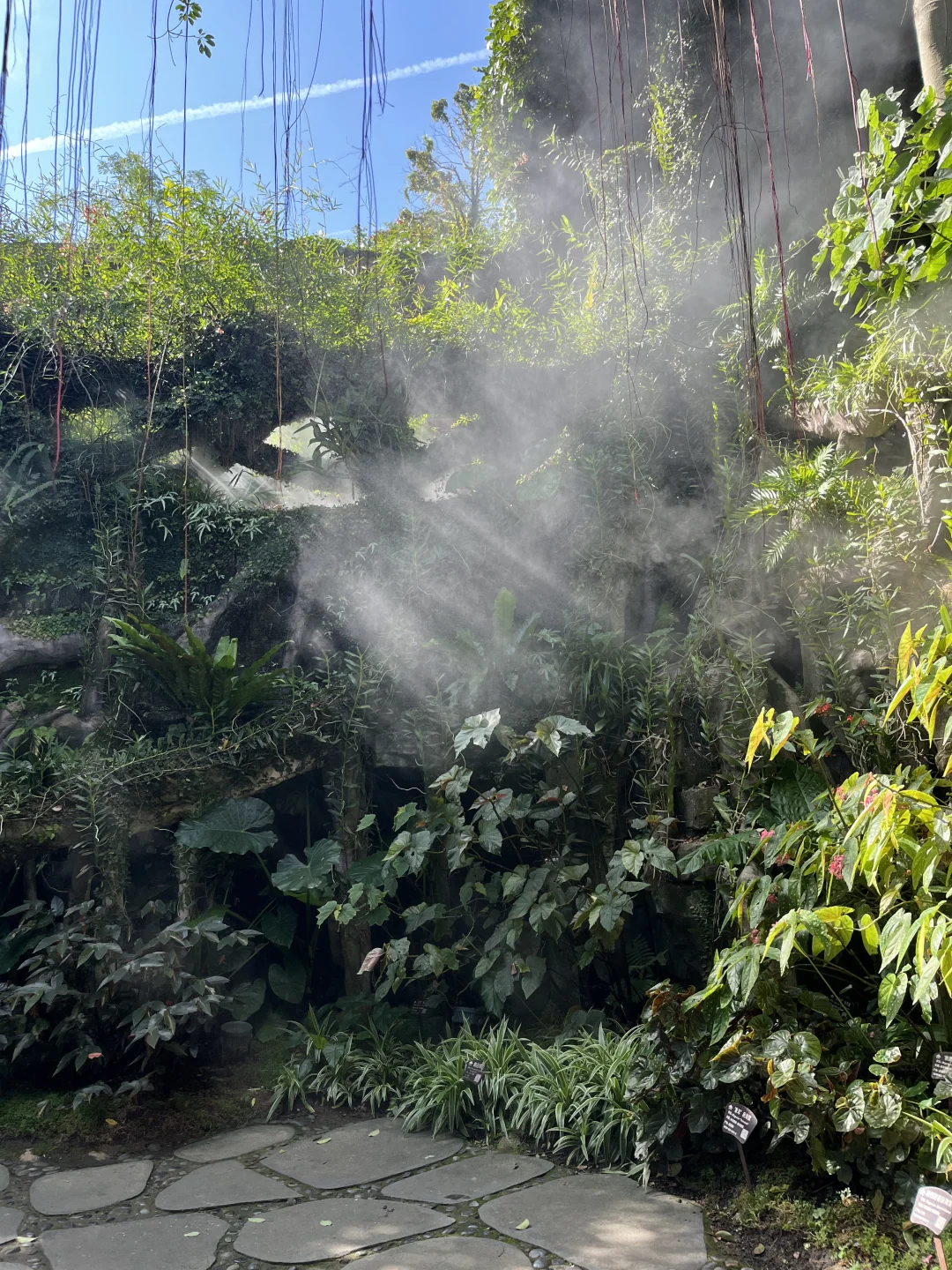 青秀山超全懒人攻略！不费腿不费脑！