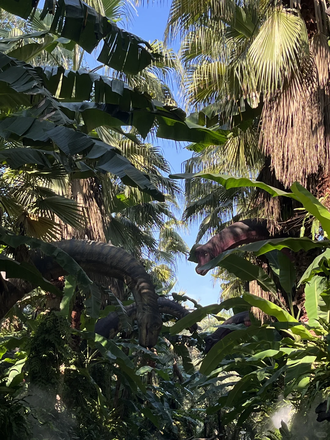 青秀山超全懒人攻略！不费腿不费脑！