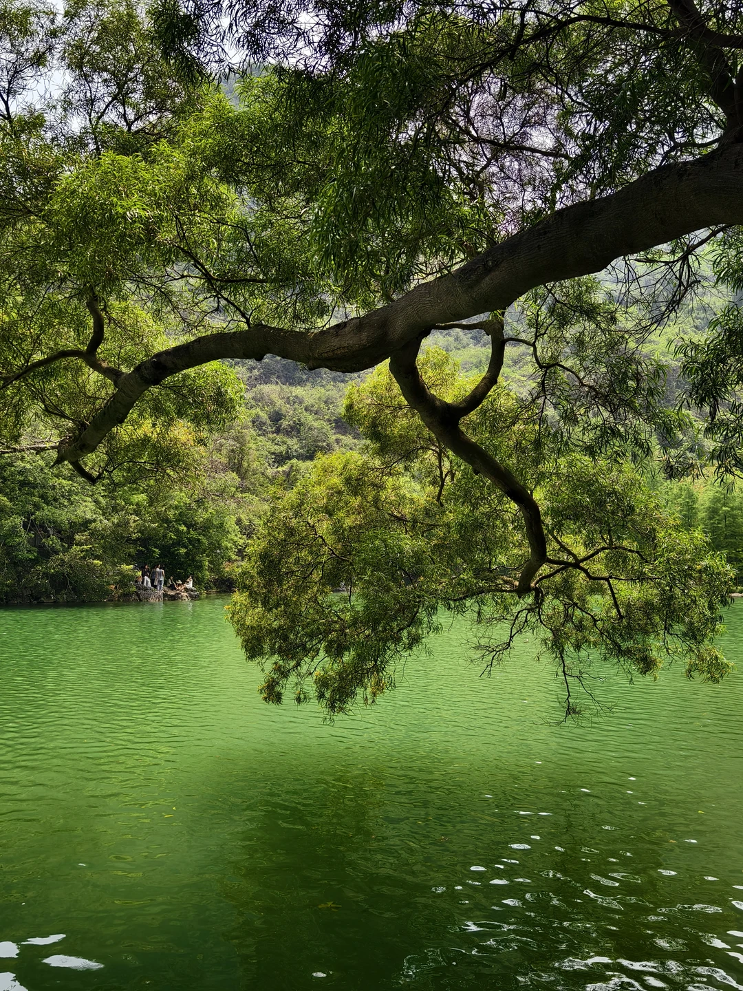 🌶️柳州一日City Walk｜嗦粉观景两不误