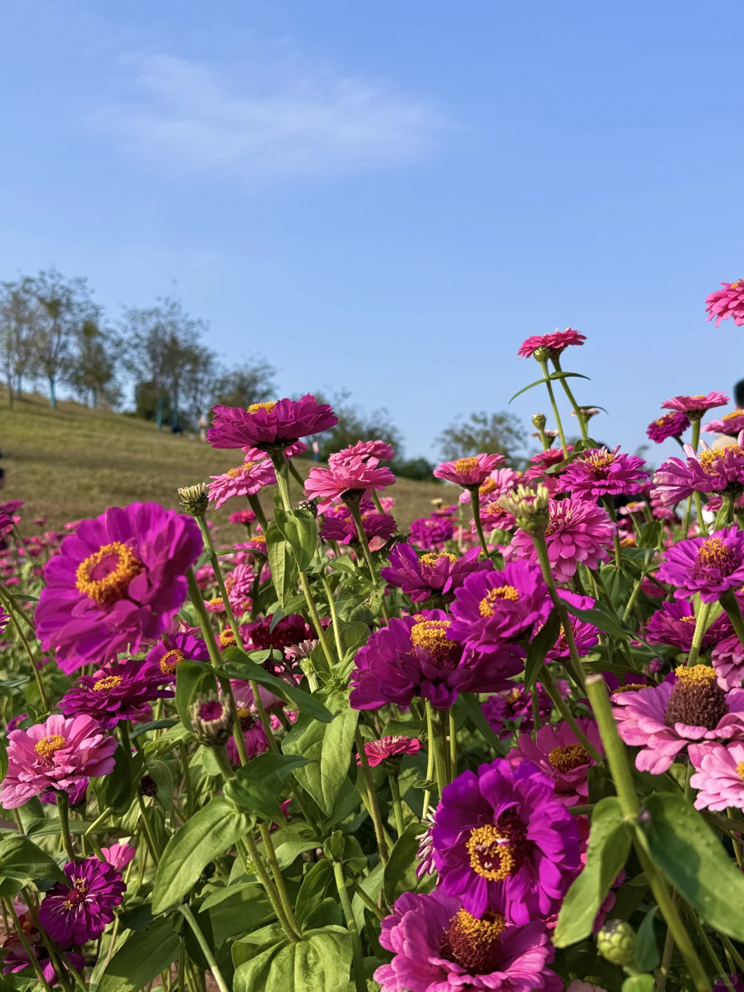 这就是南宁的十二月