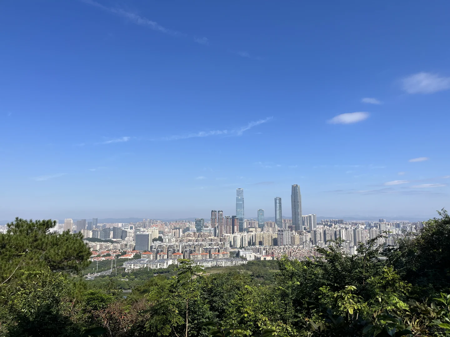 青秀山超全懒人攻略！不费腿不费脑！