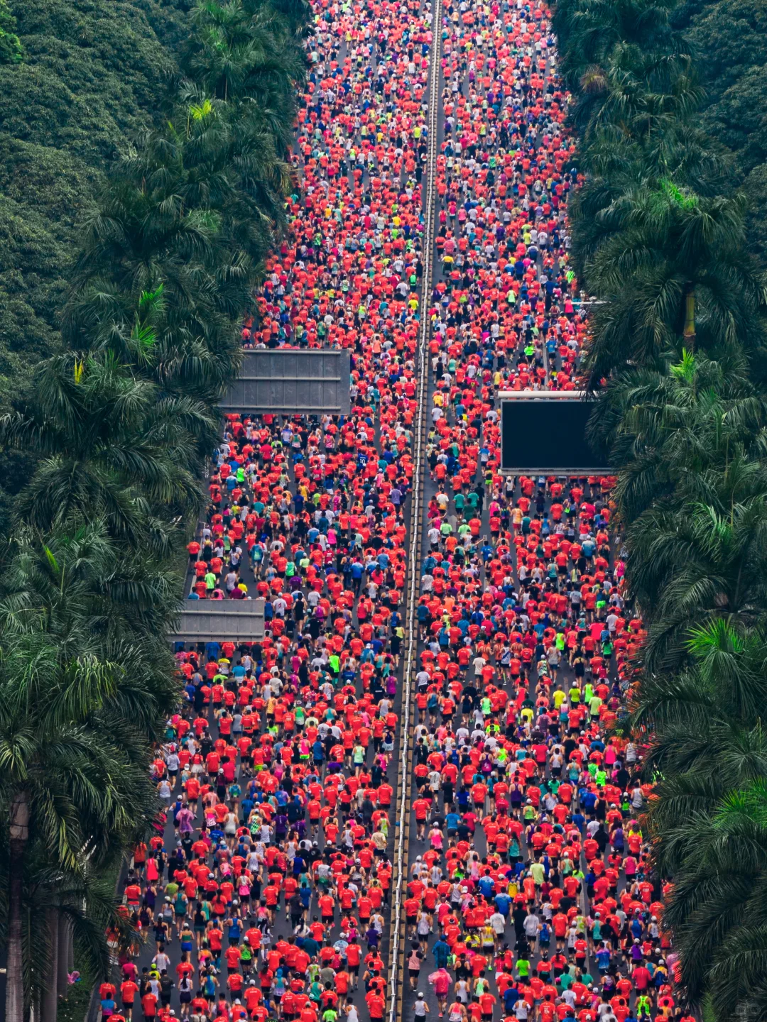 在城市森林里跑马拉松，南宁这次又赢麻了