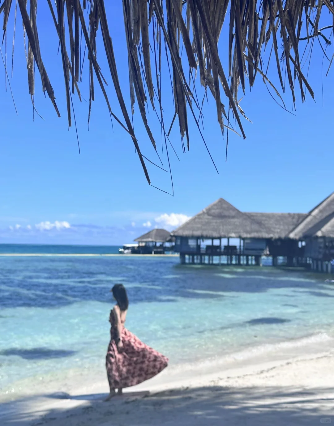 🇲🇻live，关于在马代的一日碎片🧩吃吃喝喝