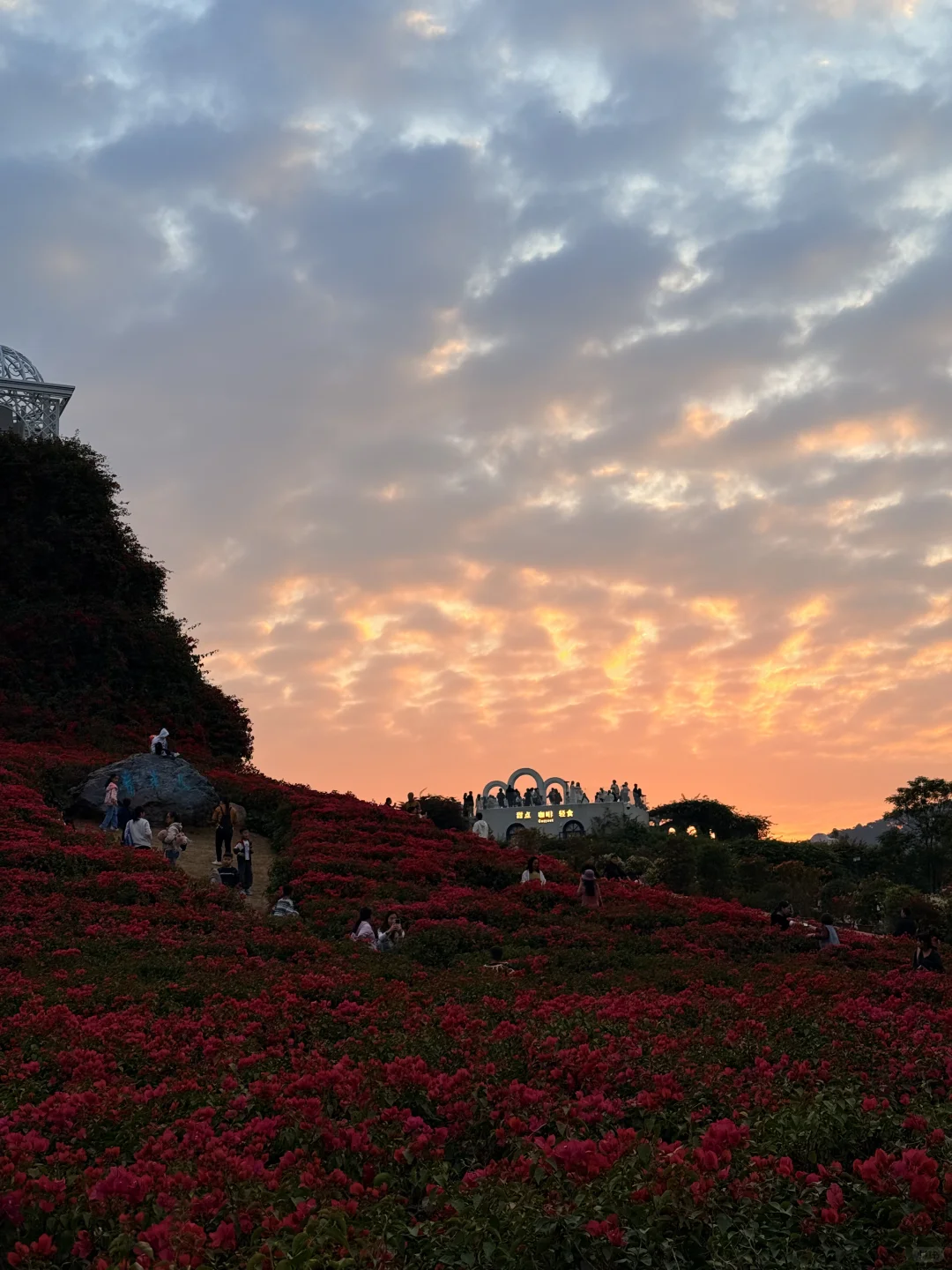 12.6南宁实况！！青秀山里的清迈新景🌳！！