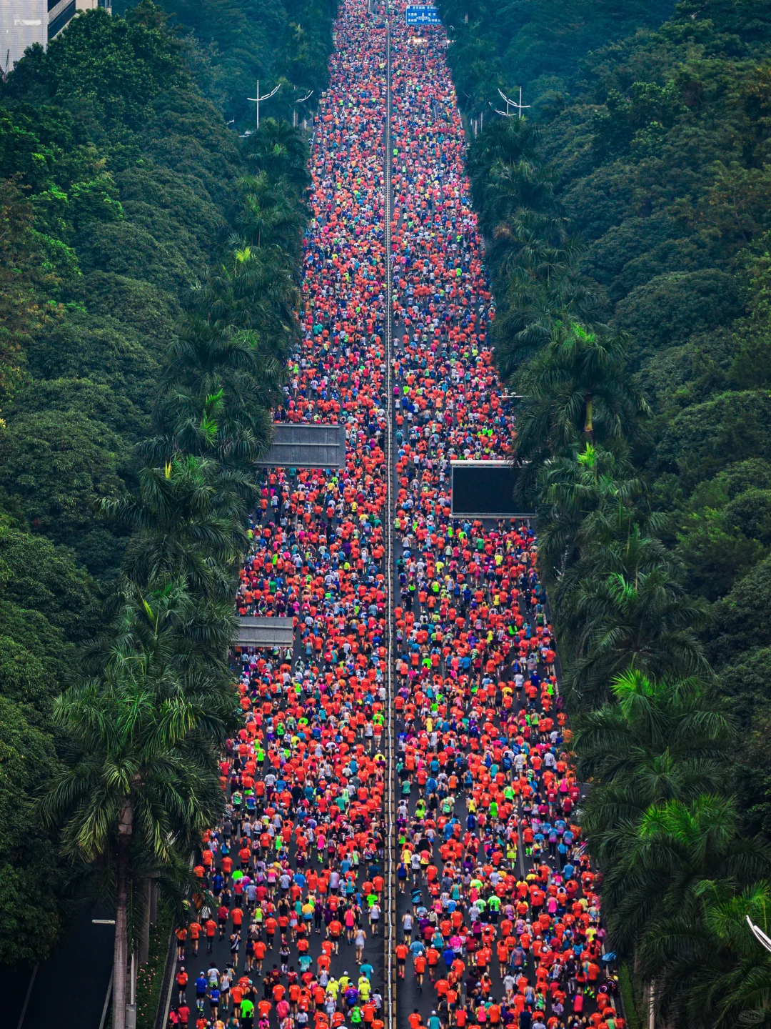 在城市森林里跑马拉松，南宁这次又赢麻了