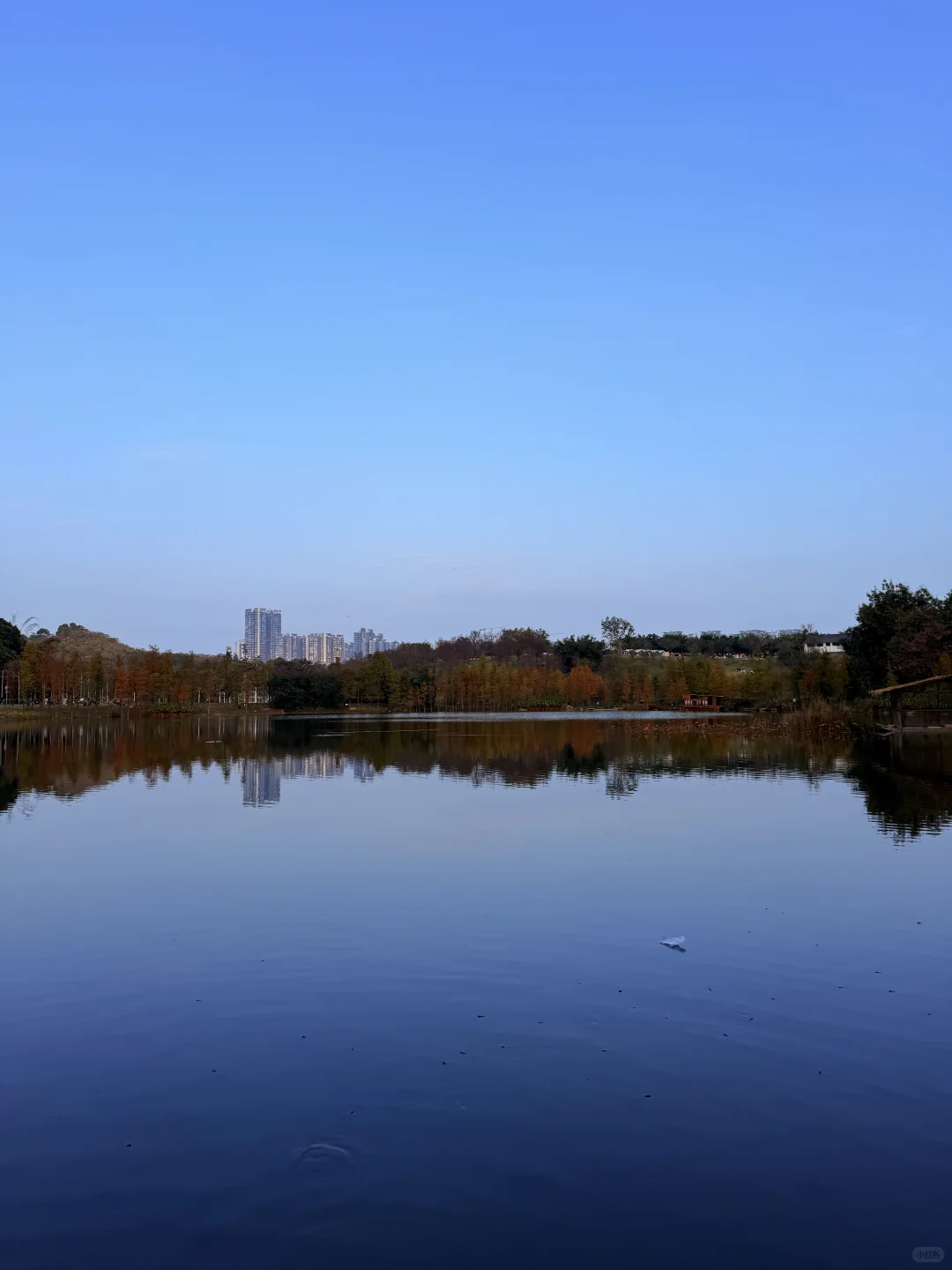12.6南宁实况！！青秀山里的清迈新景🌳！！