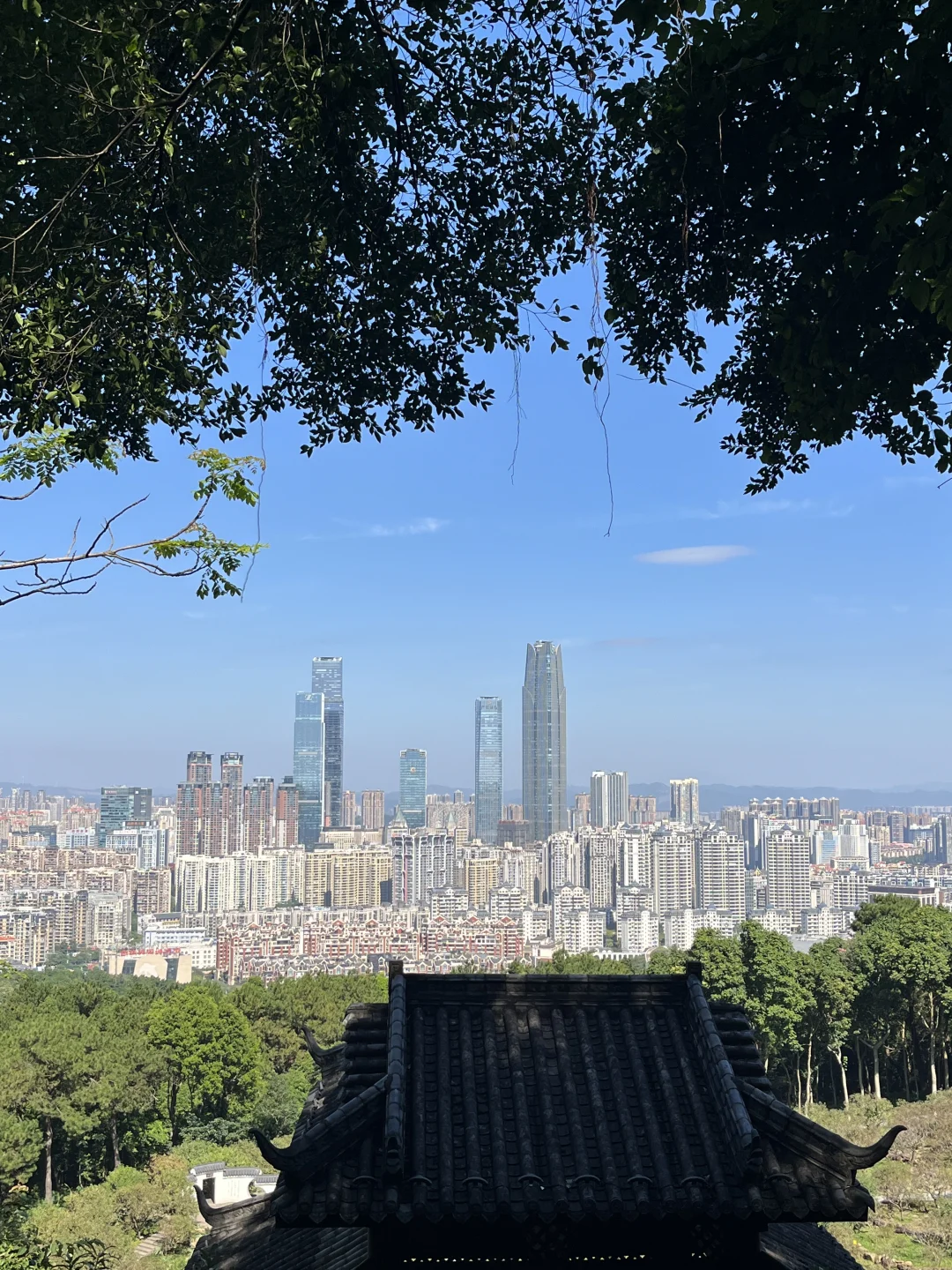 青秀山超全懒人攻略！不费腿不费脑！