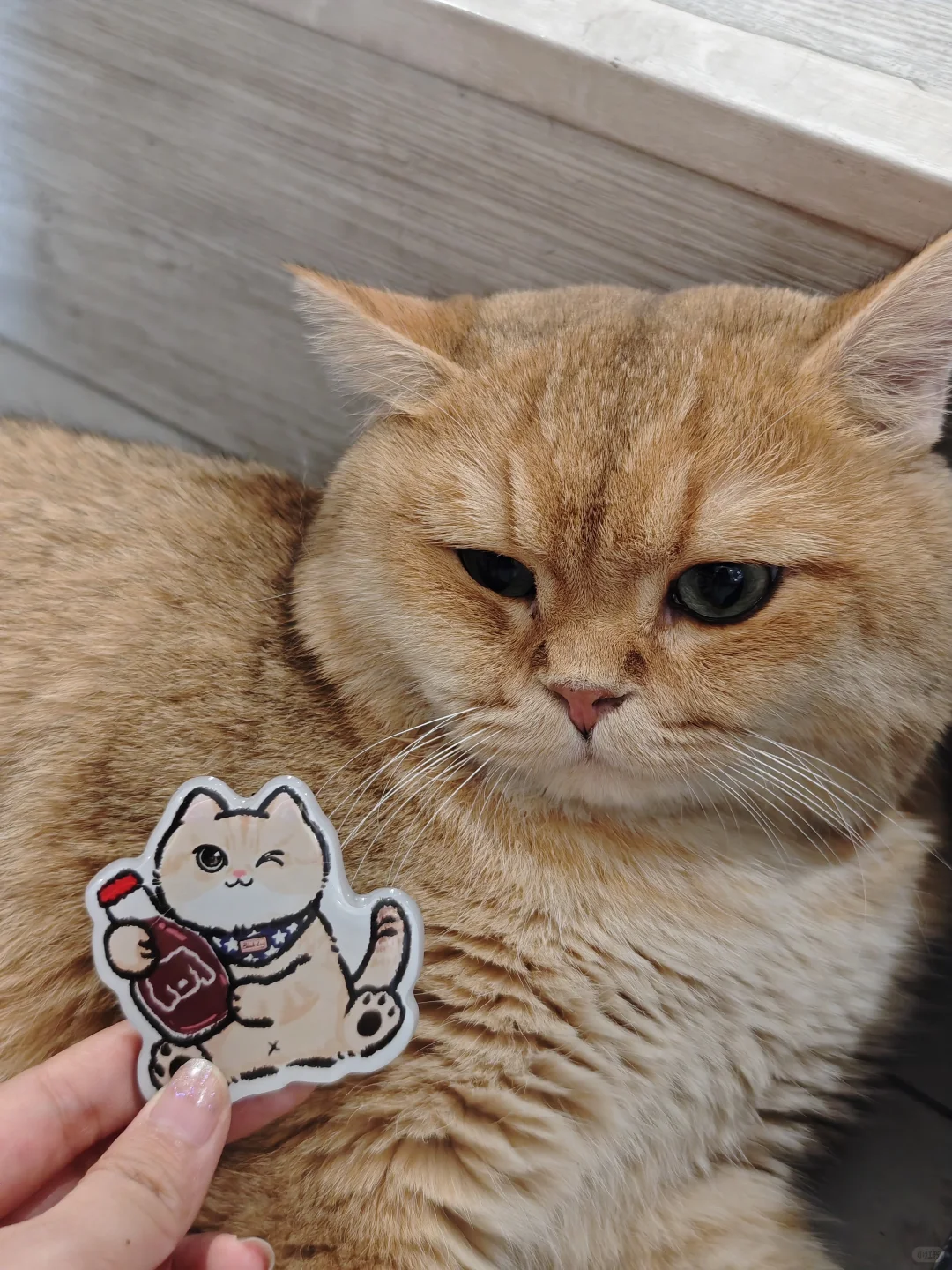 柳州简直是螺蛳粉爱好者的天堂！