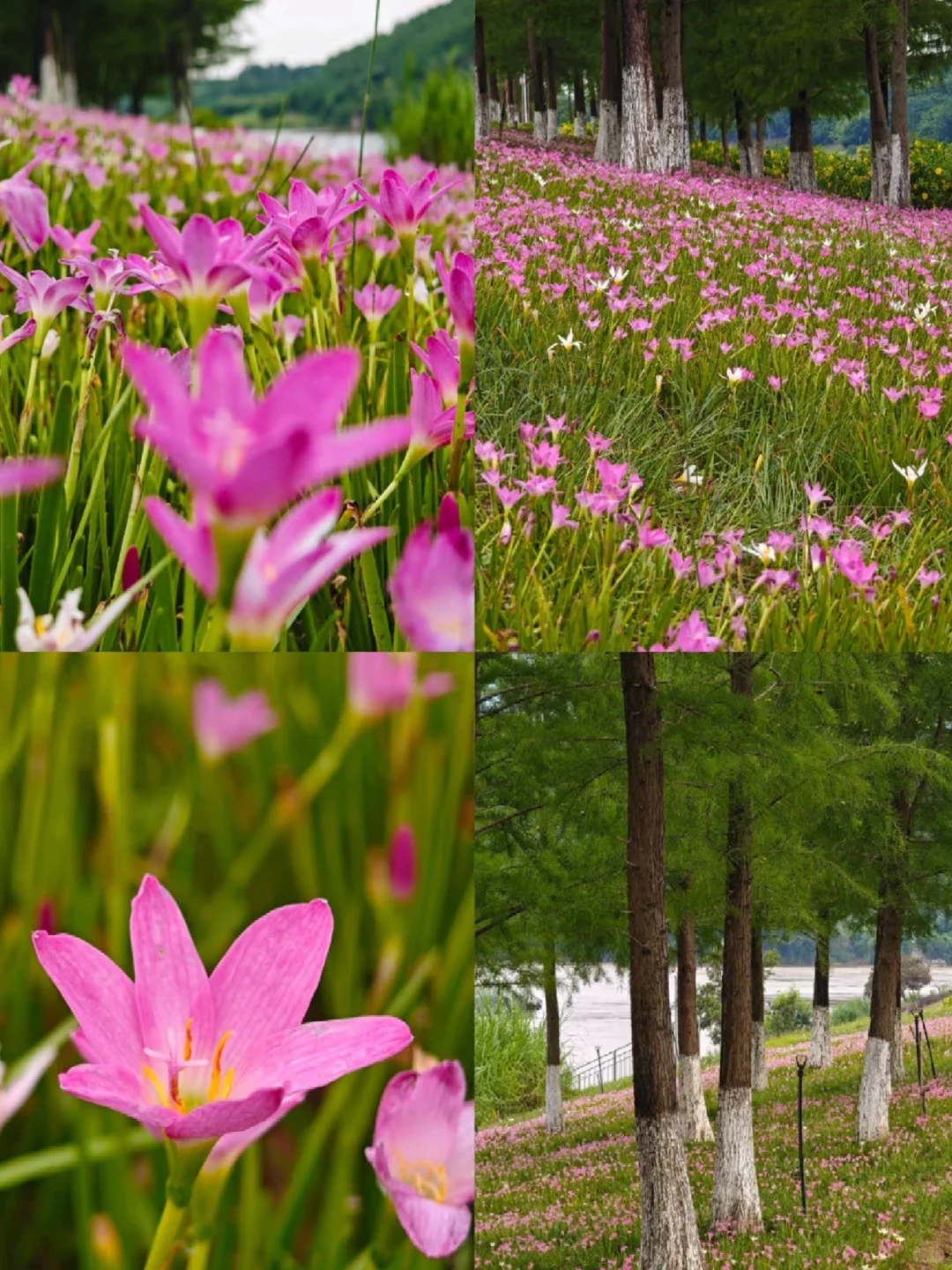 南宁反向旅游指南：📍蒲庙（全攻略）