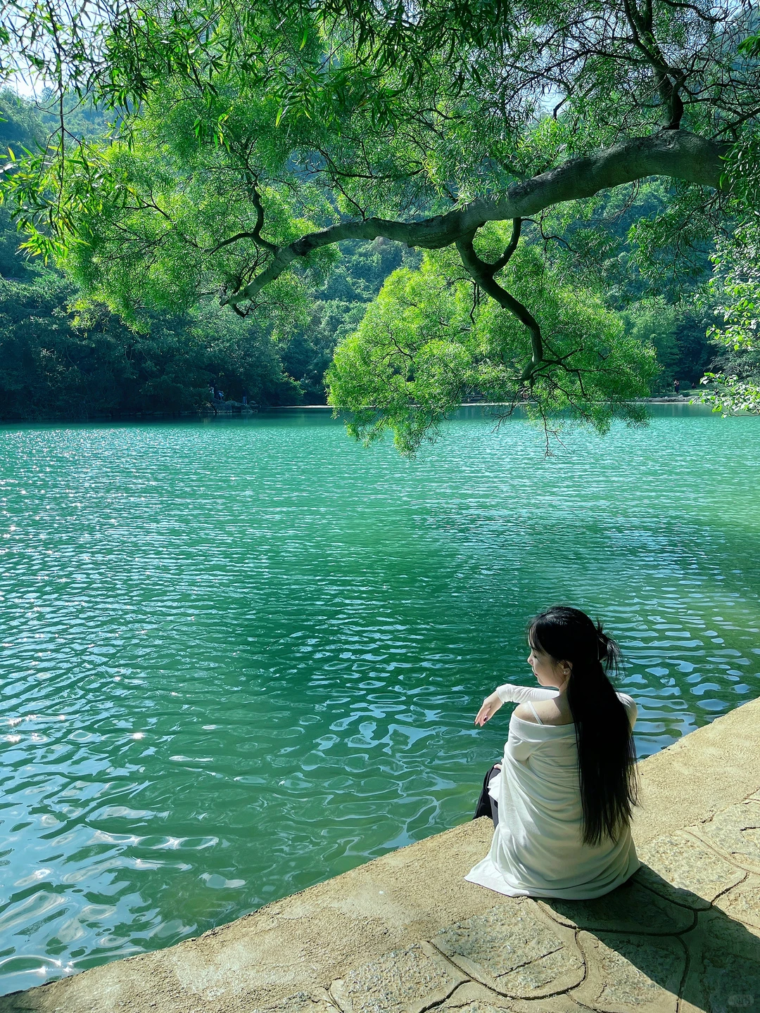 柳州｜绿宝石太出片了❇️龙潭公园最新攻略