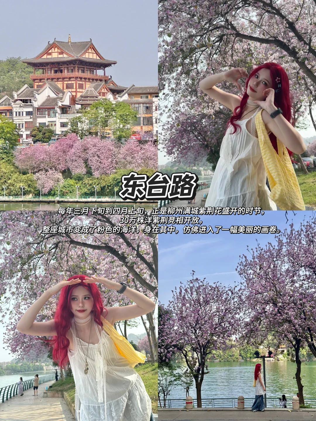 来柳州旅游这些真的必打卡！！攻略来啦！！！！