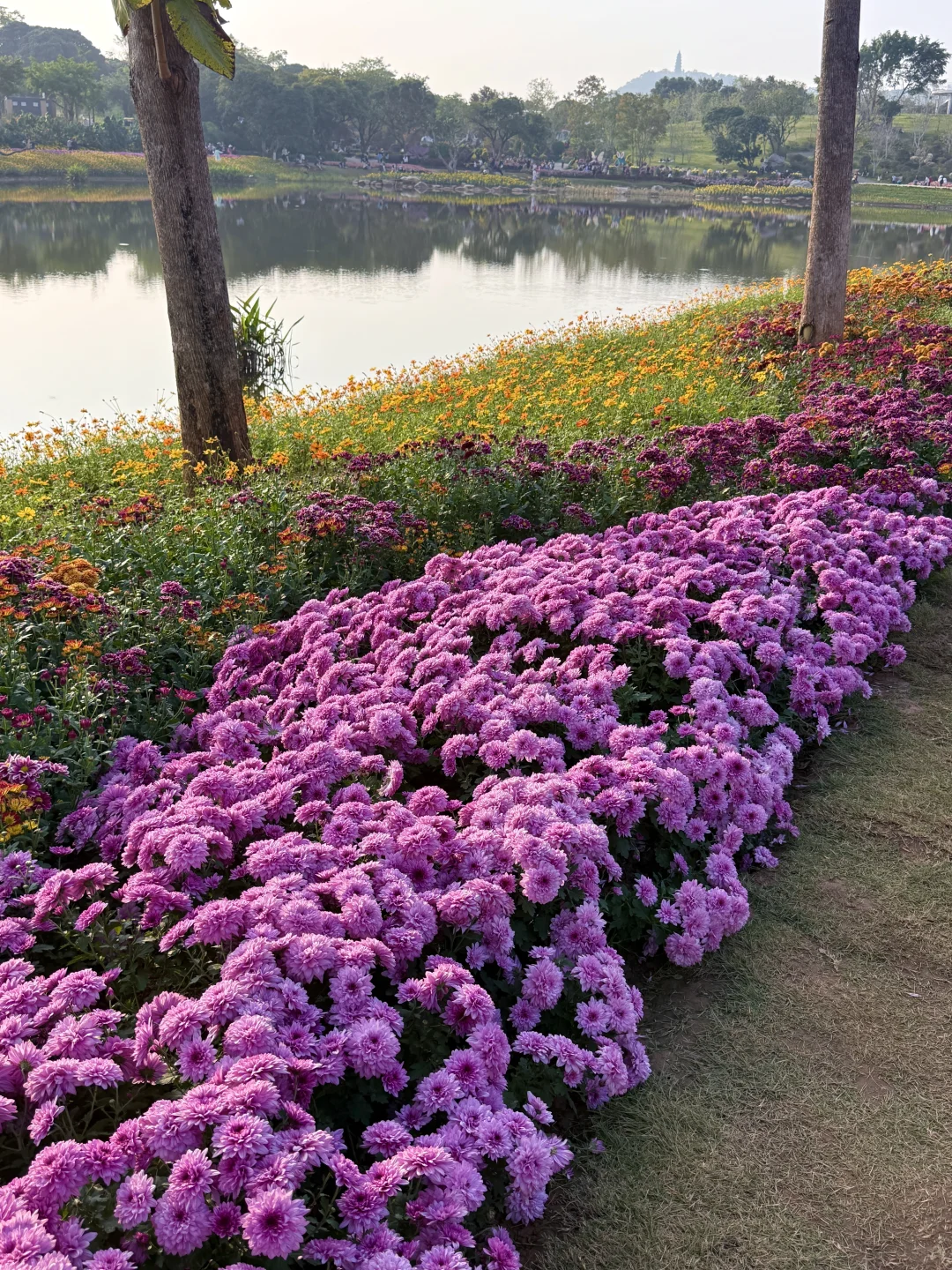 这就是南宁的十二月