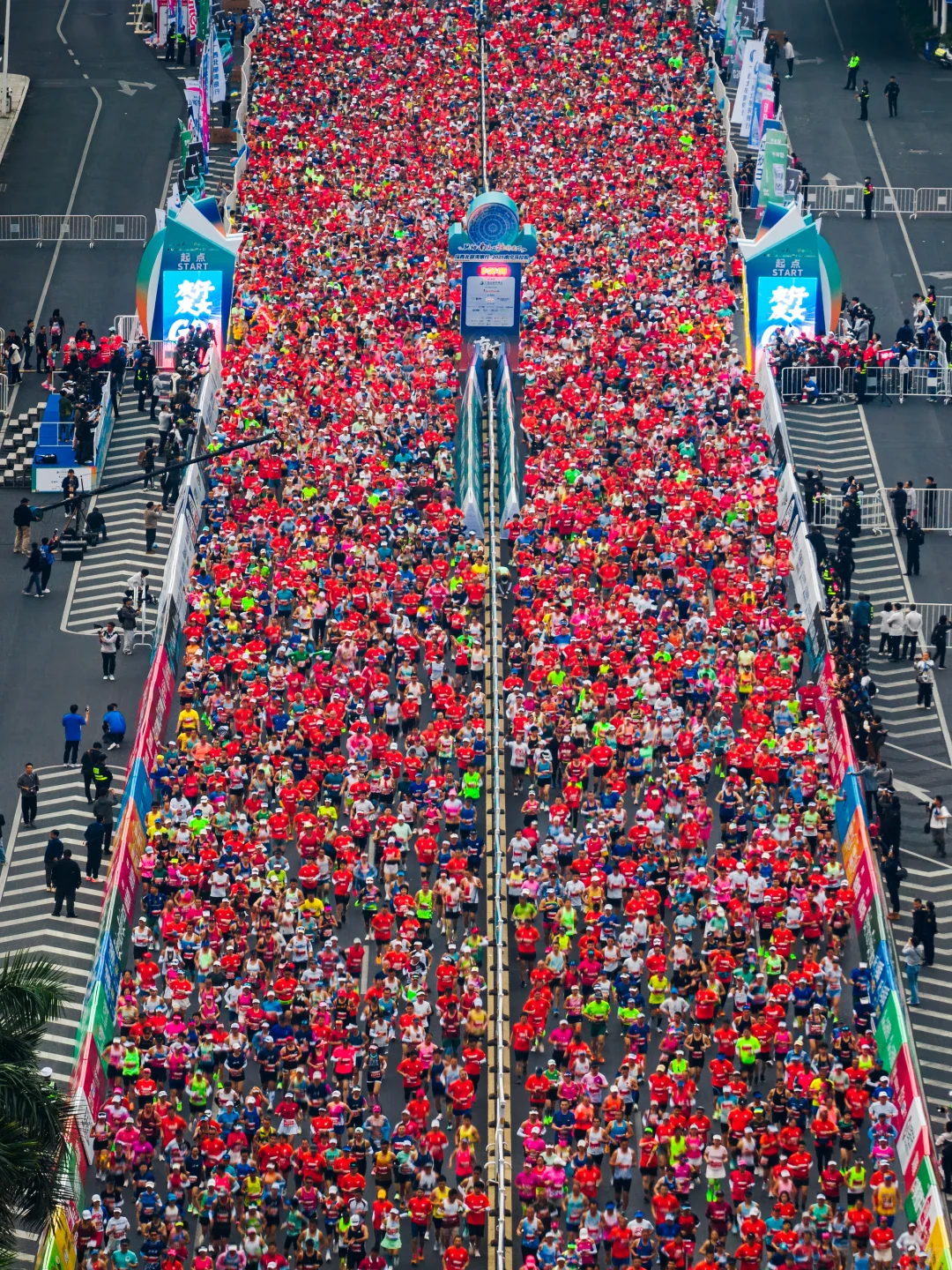 在城市森林里跑马拉松，南宁这次又赢麻了