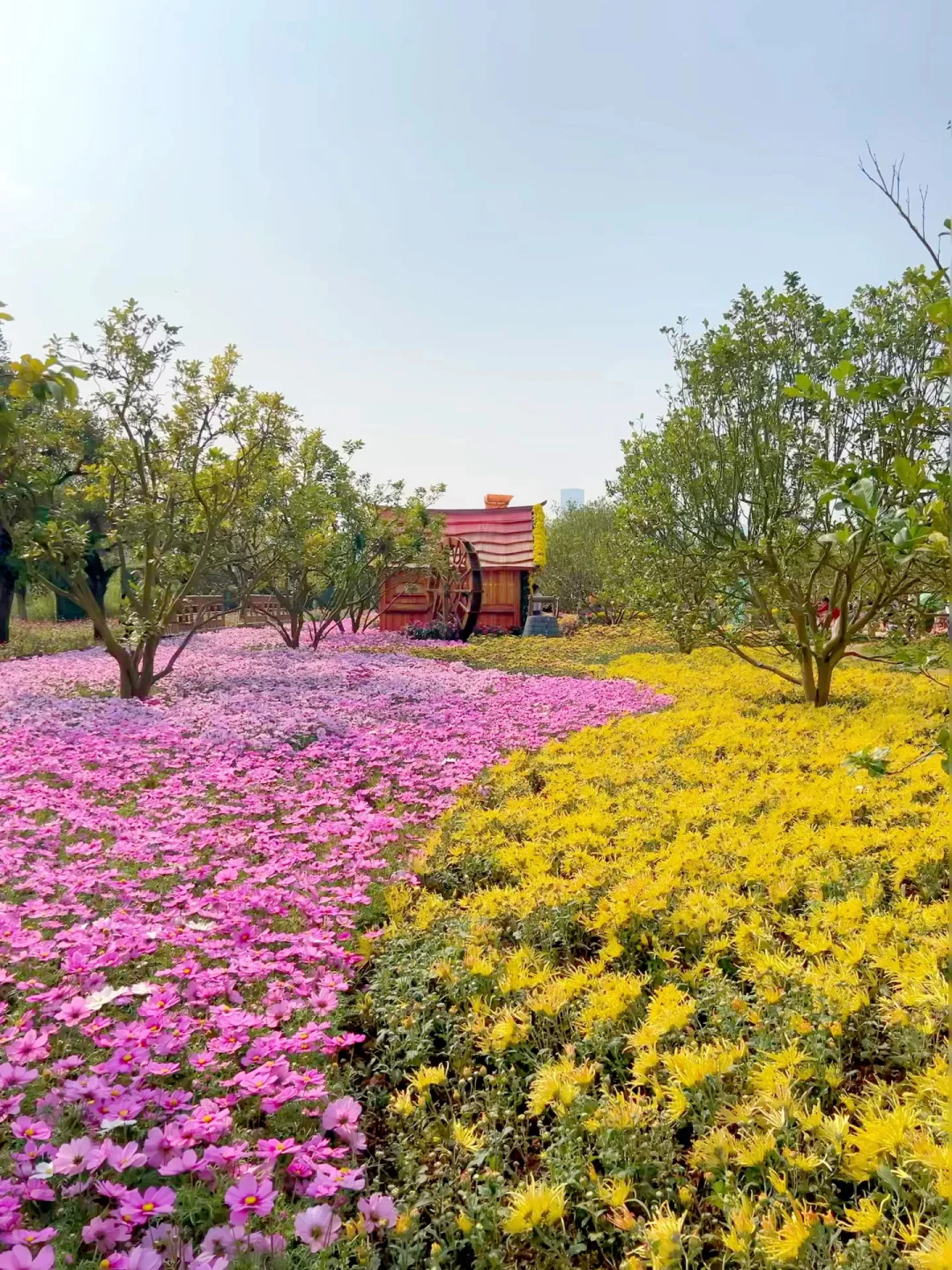 青秀山造景是谁？