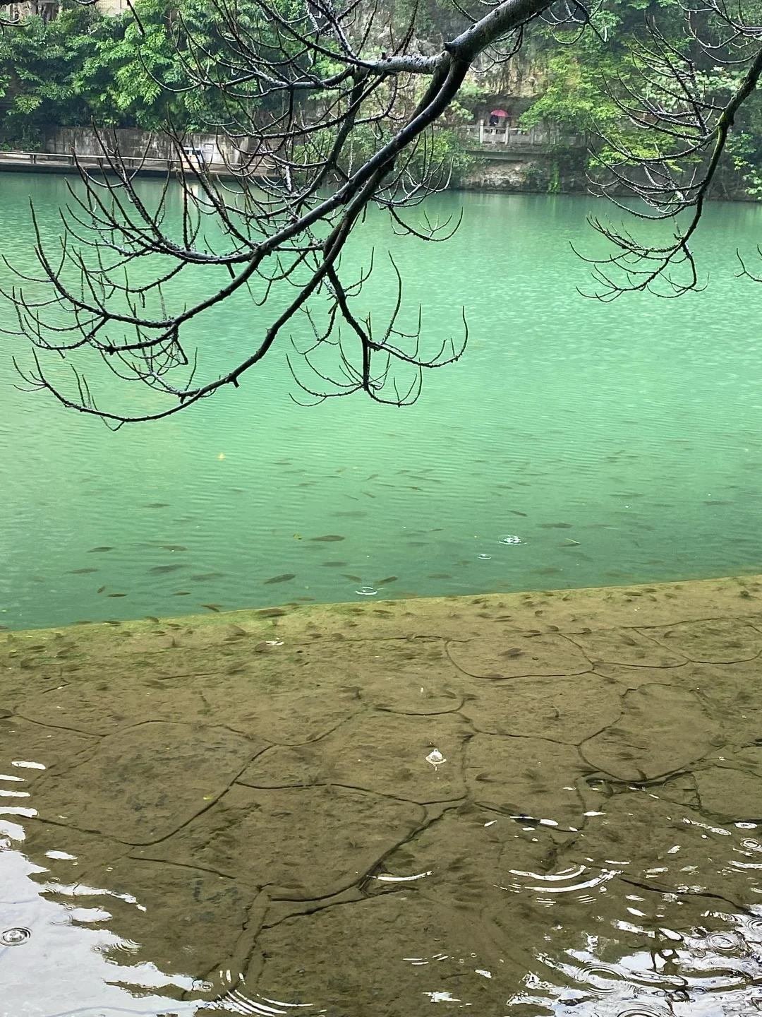 为了这18张live图 我特地去了一次柳州！！！