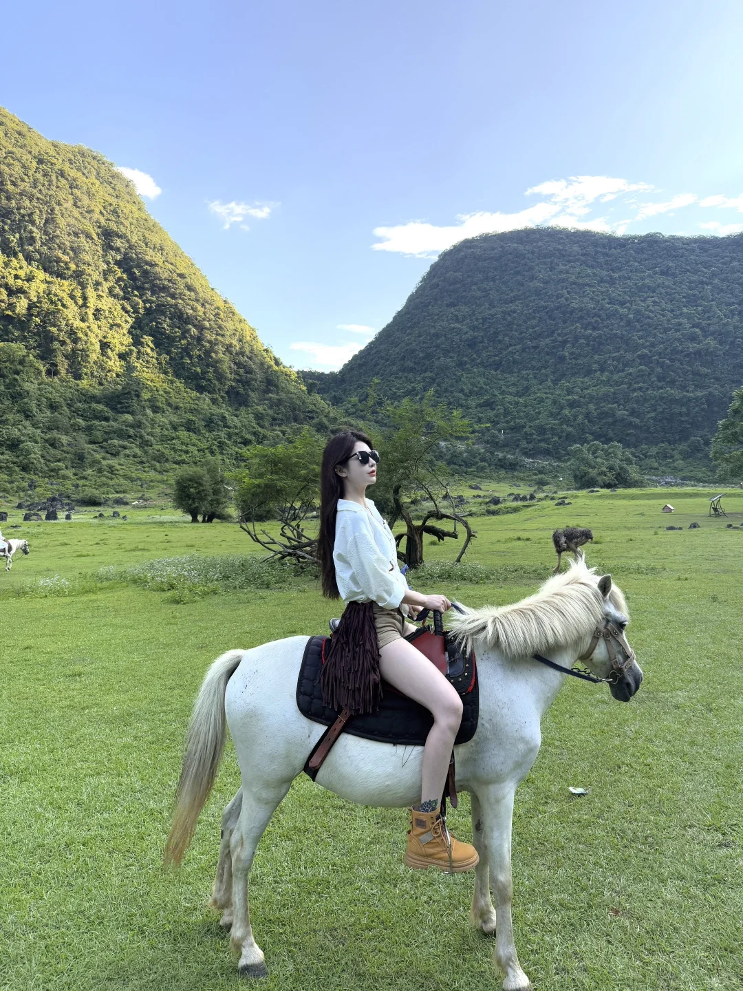 去不了新疆阿勒泰 就来柳州鹿寨🐑