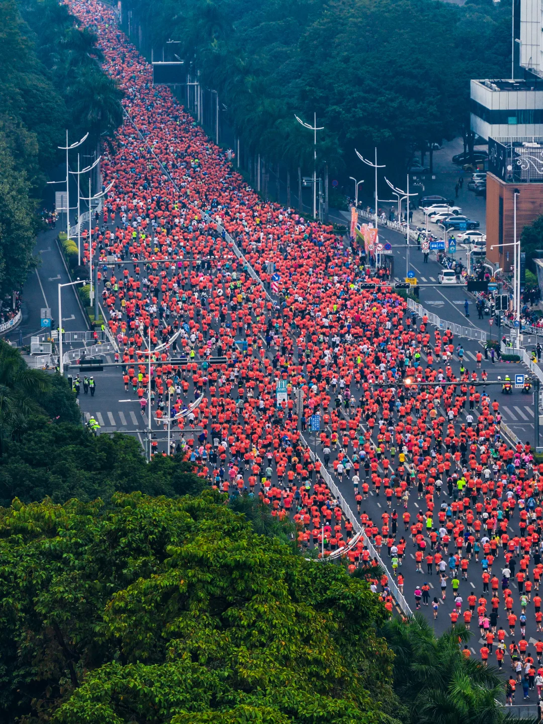 在城市森林里跑马拉松，南宁这次又赢麻了