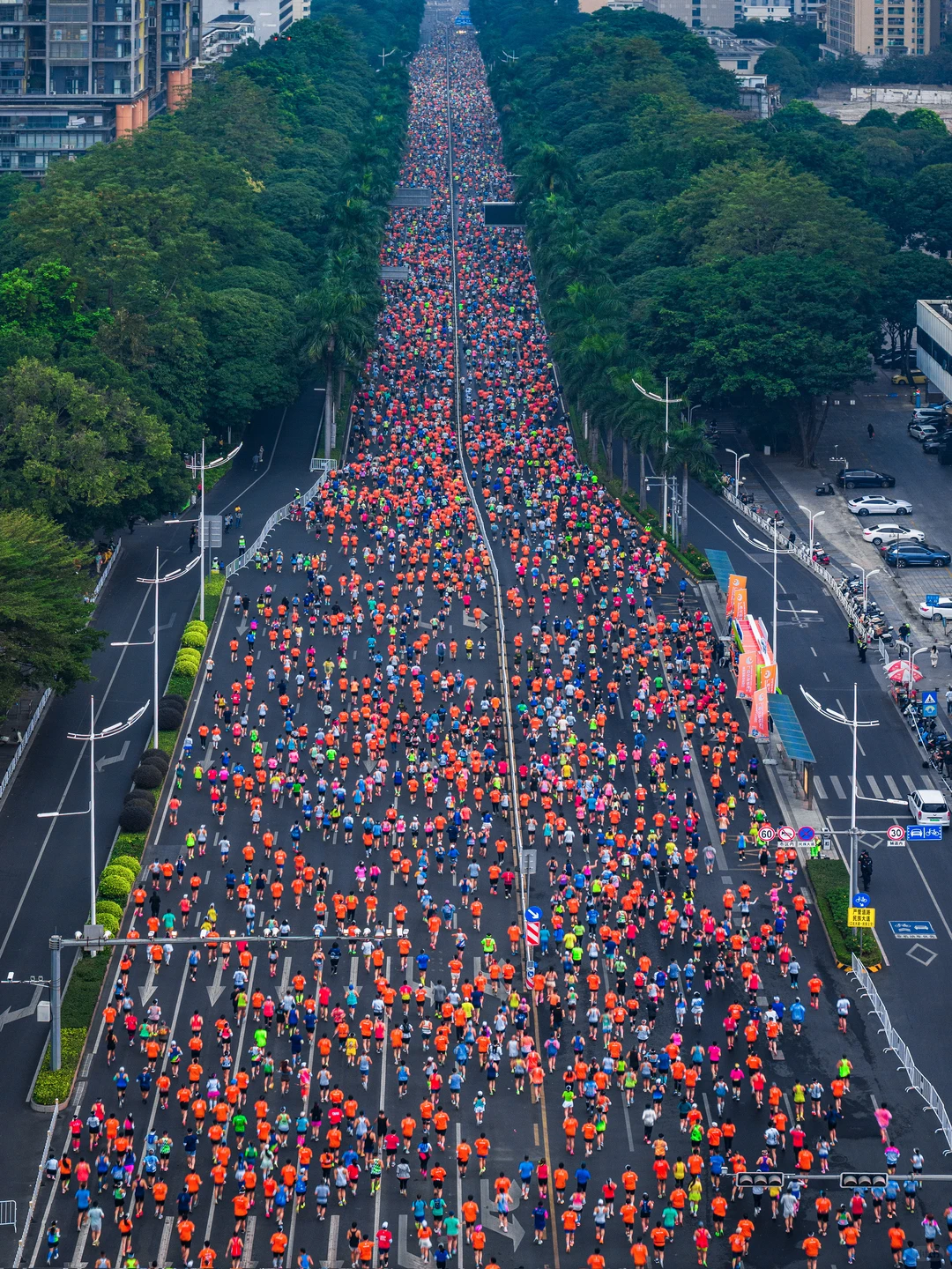 在城市森林里跑马拉松，南宁这次又赢麻了