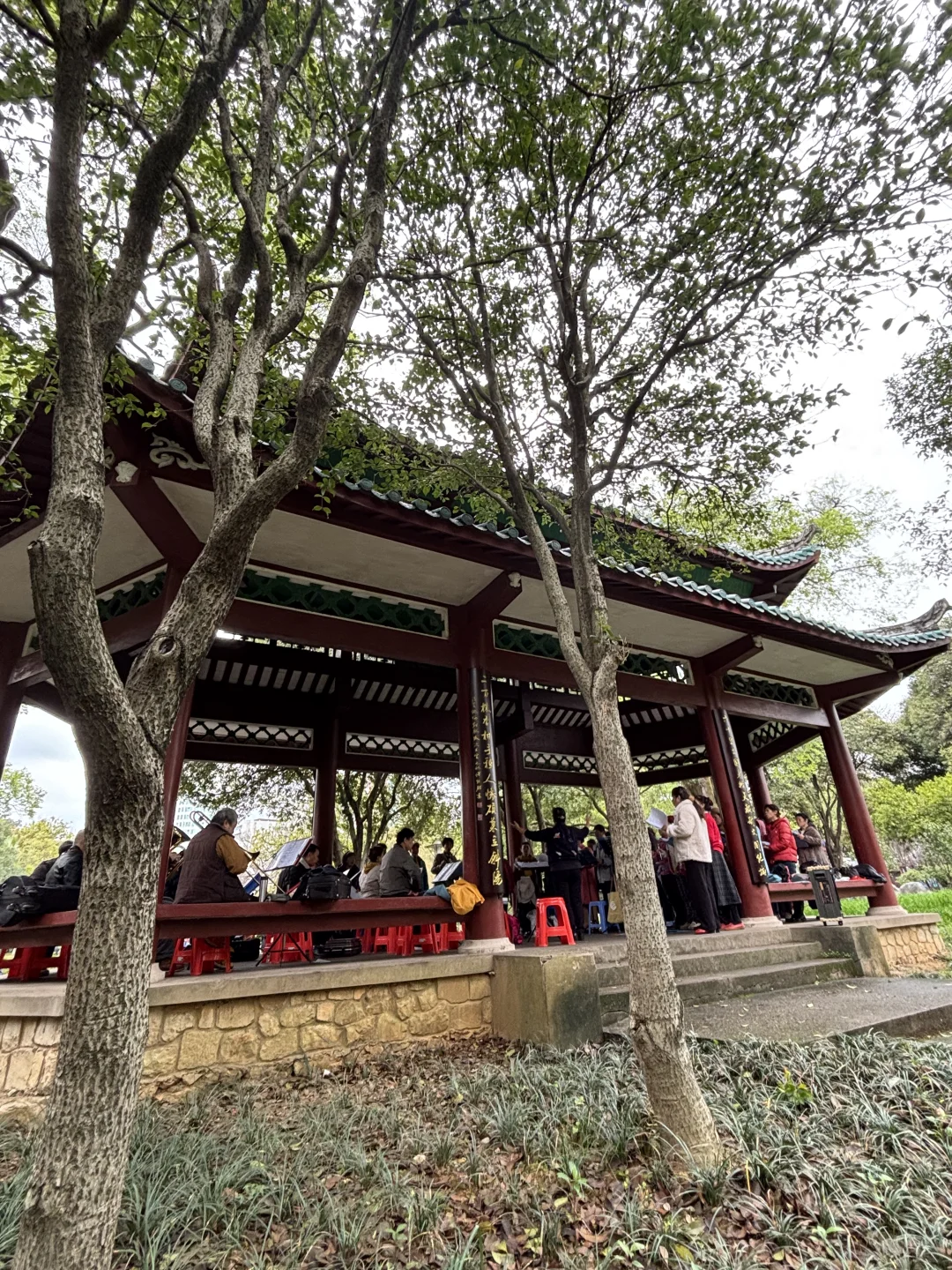 来柳州我只干三件事！！！