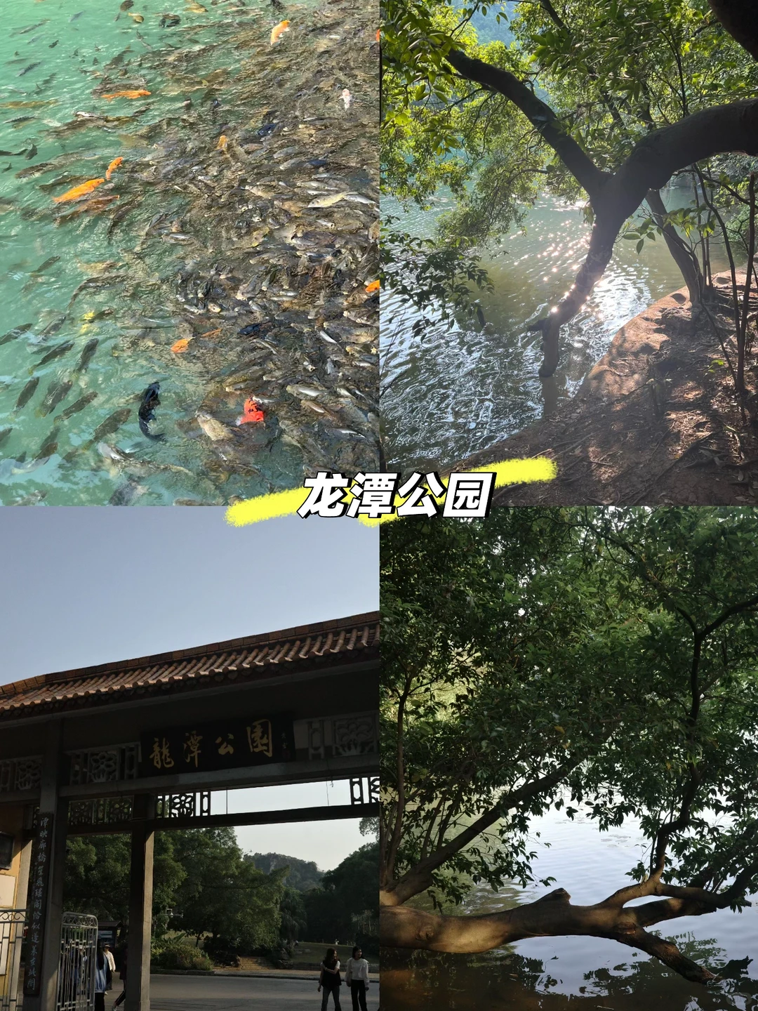 柳州•吃喝玩乐三天两夜游攻略～