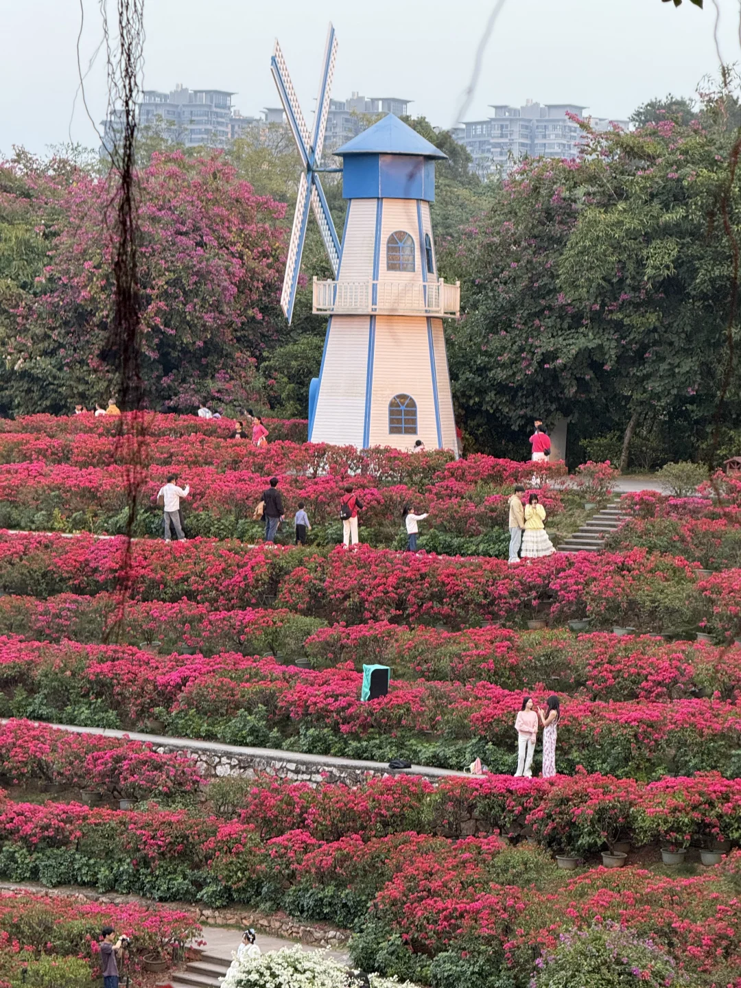 12.6南宁实况！！青秀山里的清迈新景🌳！！