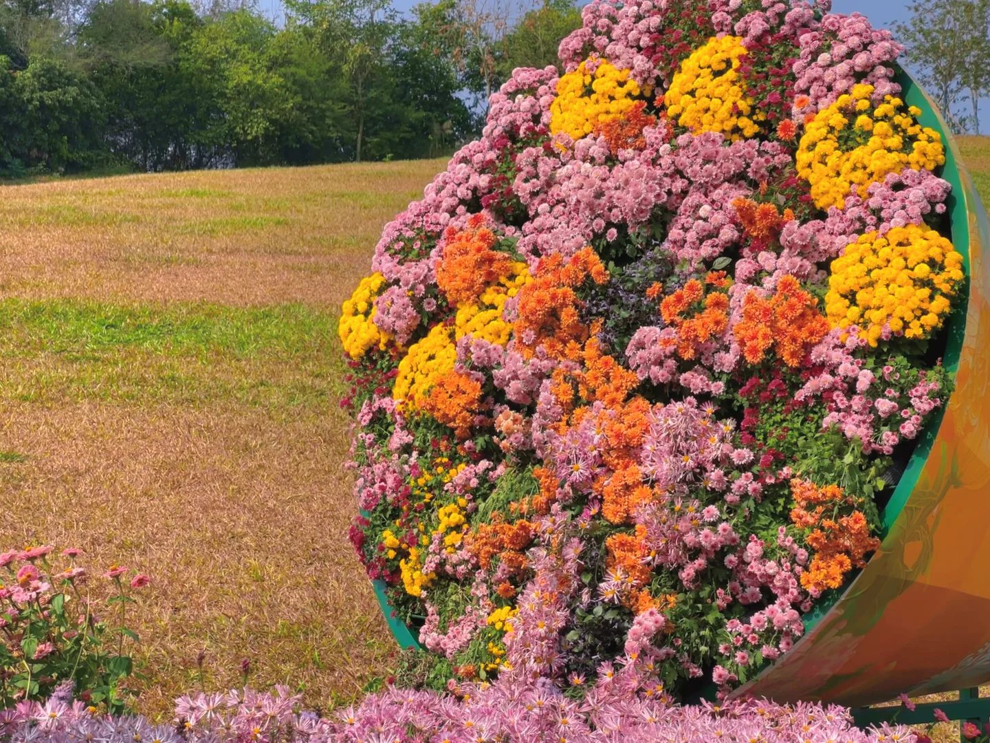青秀山造景是谁？