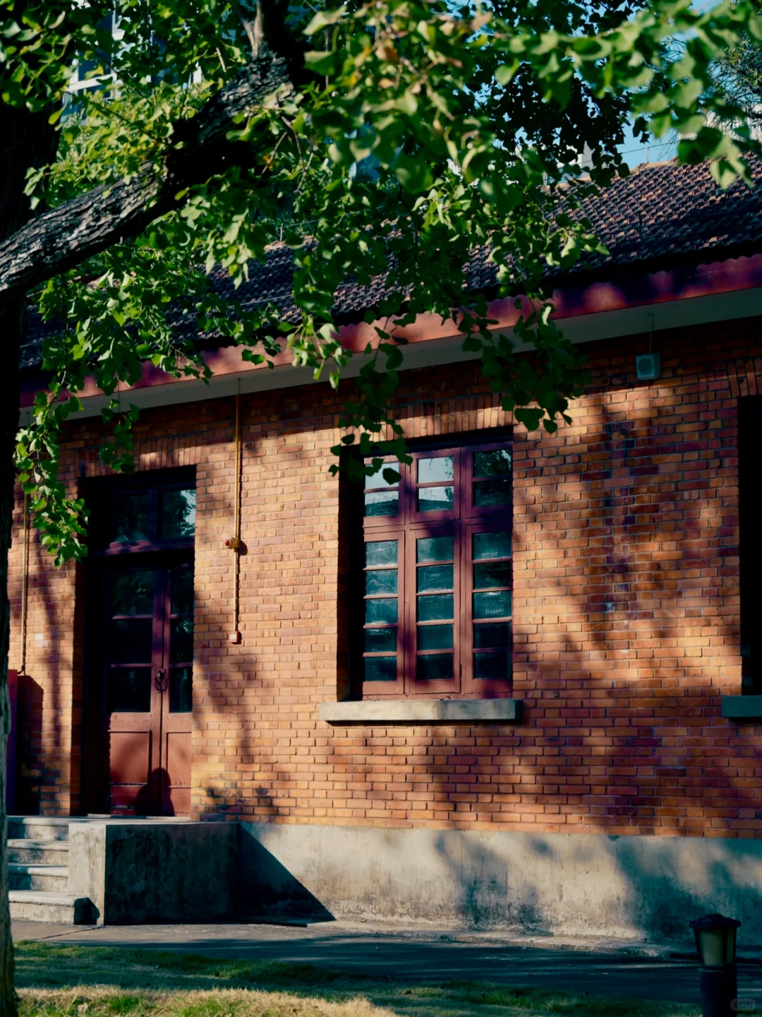 柳州·军事博物园｜历史正在此处日光浴