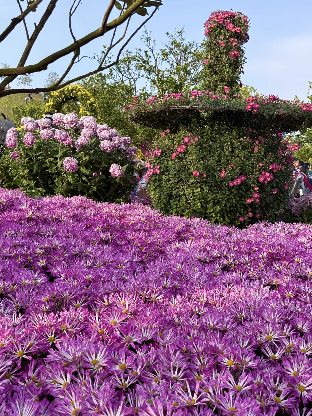 这就是南宁的十二月