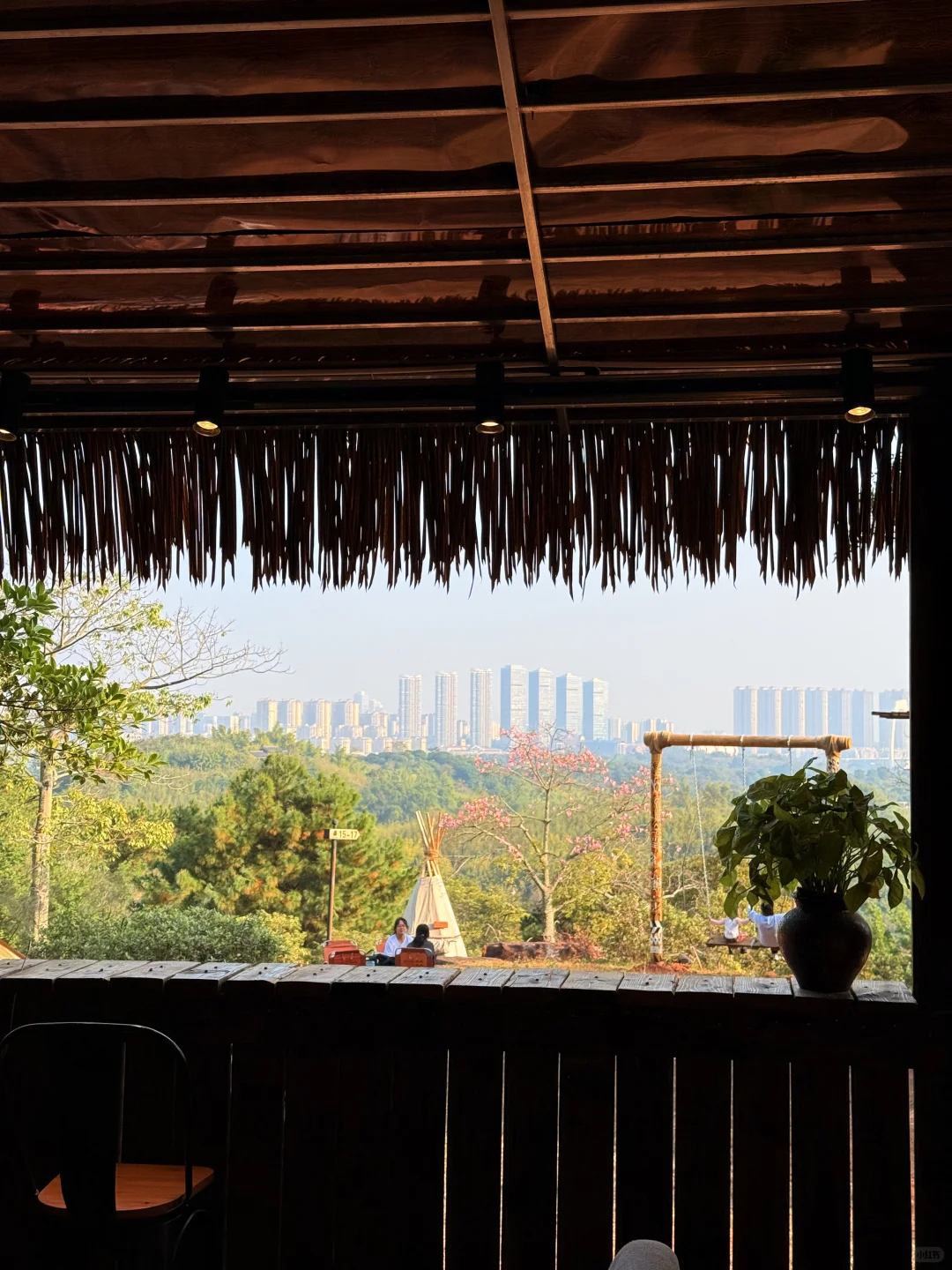 12.6南宁实况！！青秀山里的清迈新景🌳！！