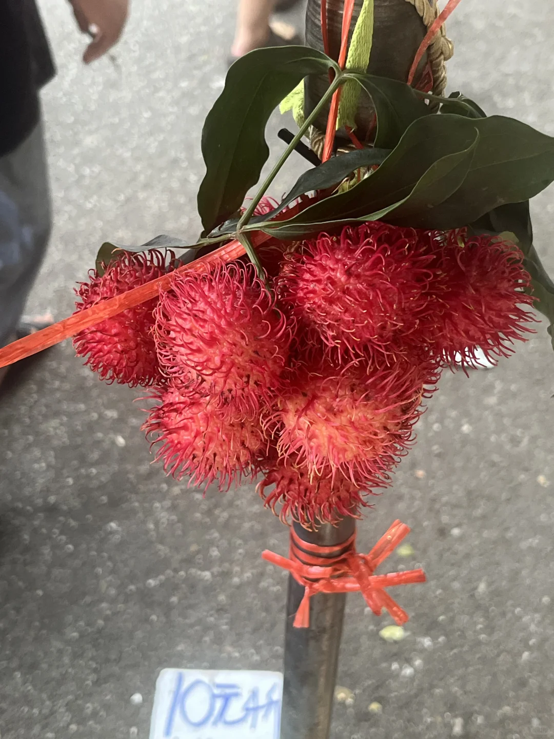 南宁 实现水果自由😋