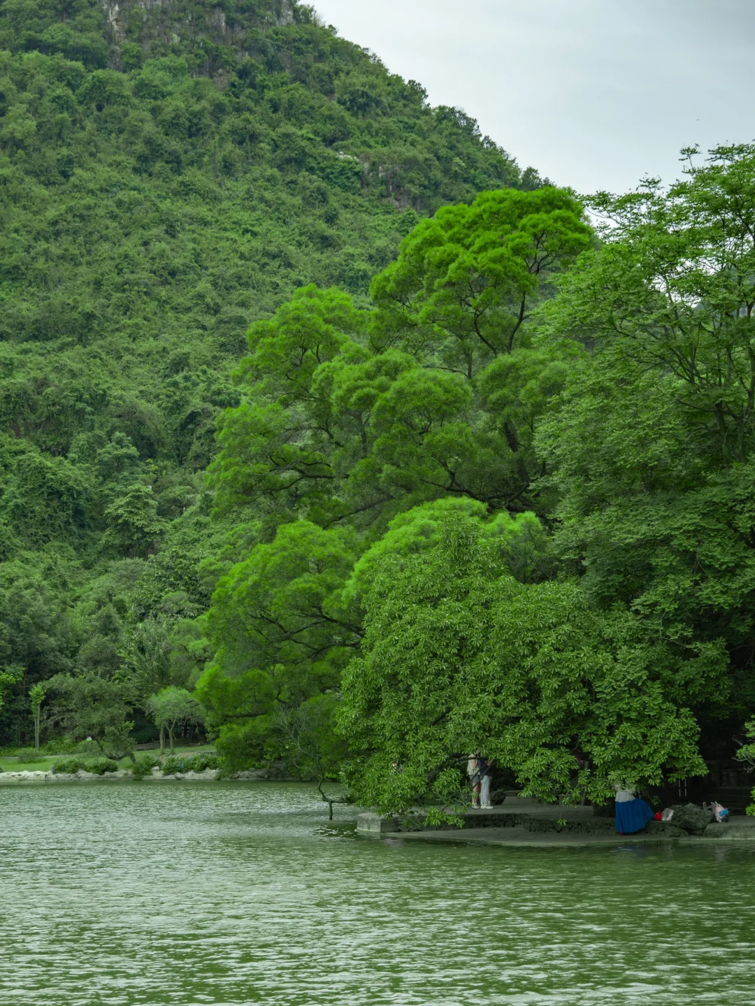 任何人来柳州，错过这个公园我都会伤心的