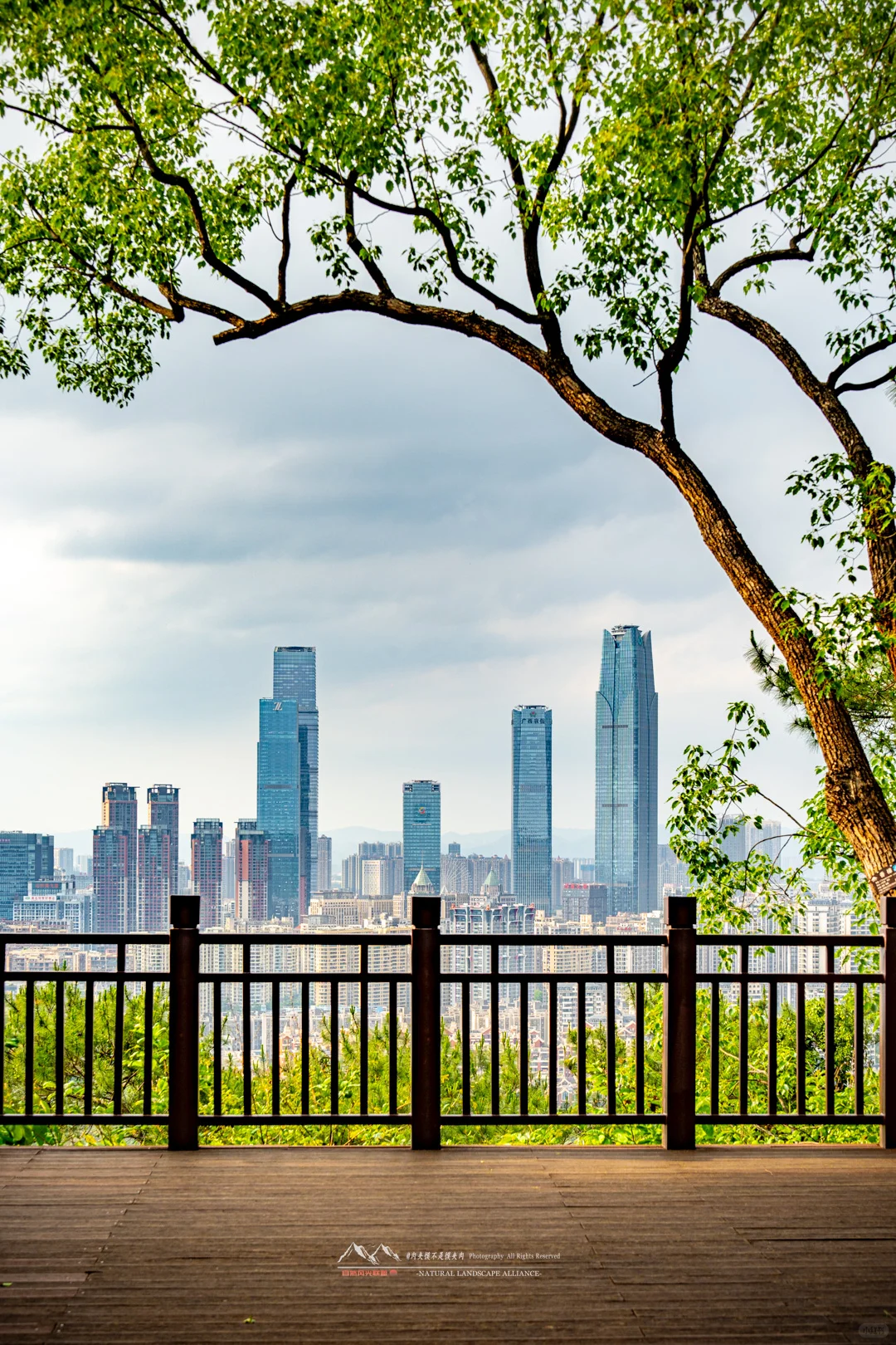 这么美的南宁，确定不来看看吗！！！