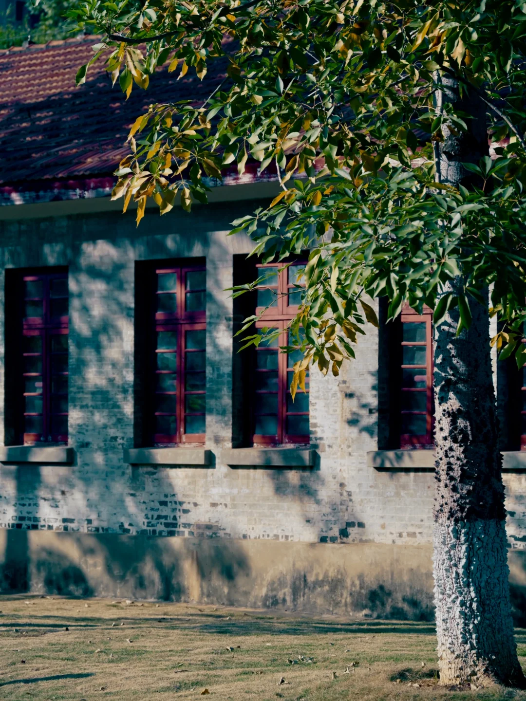 柳州·军事博物园｜历史正在此处日光浴