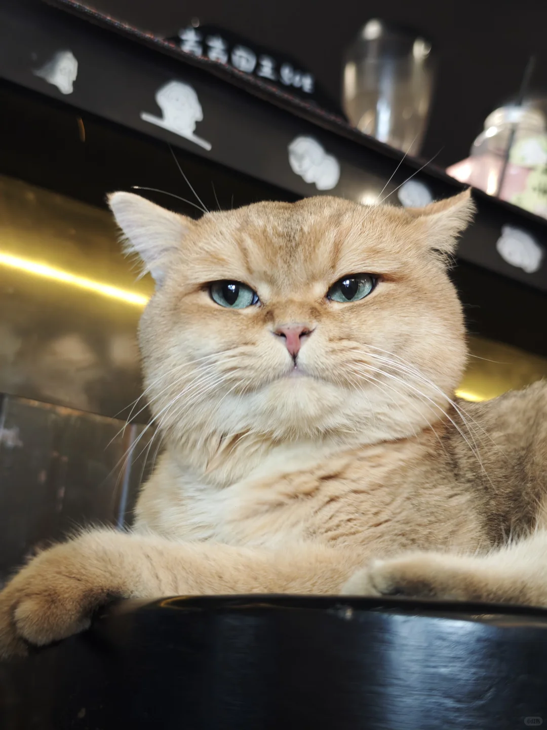 柳州简直是螺蛳粉爱好者的天堂！