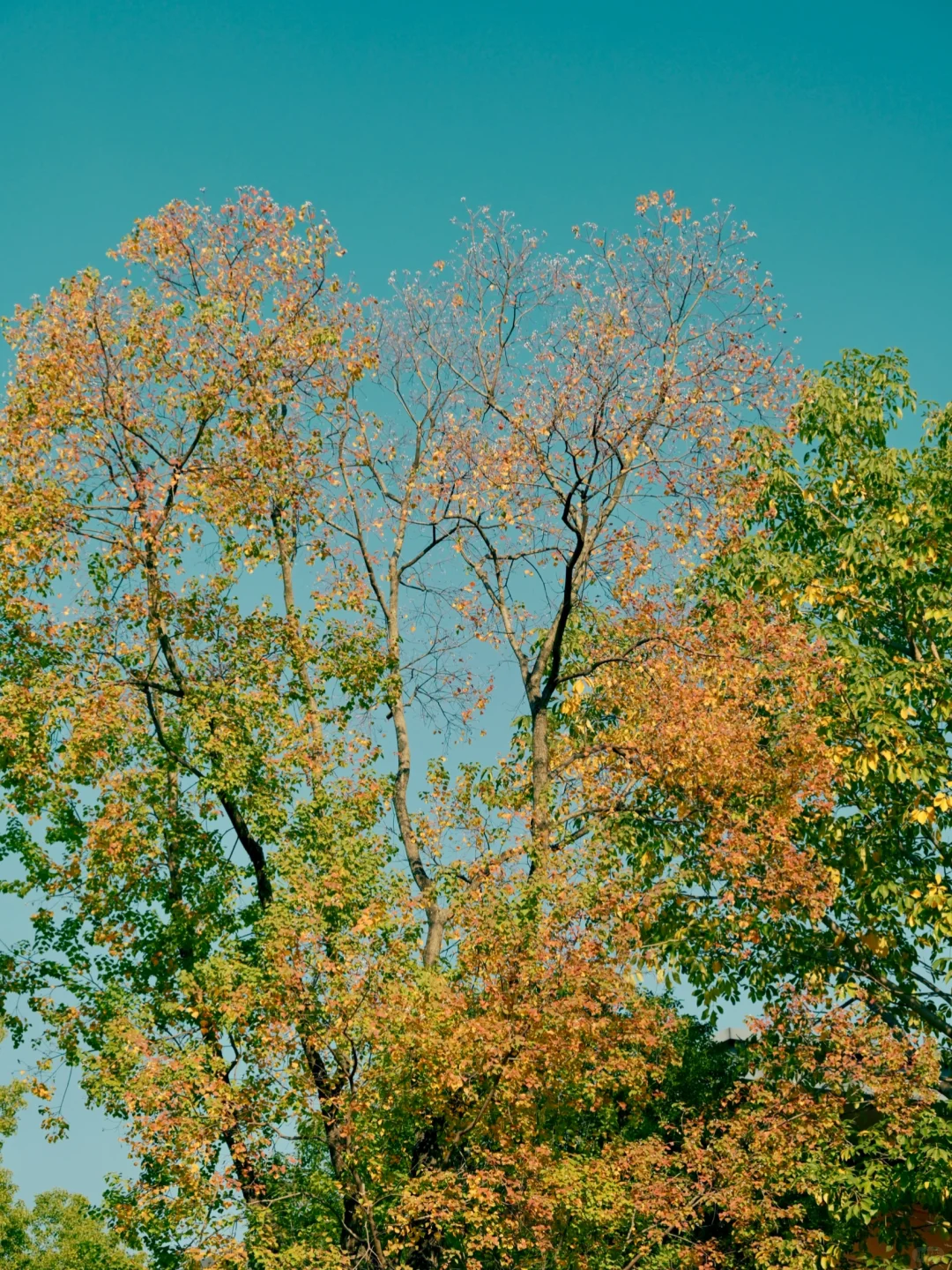 柳州·军事博物园｜历史正在此处日光浴