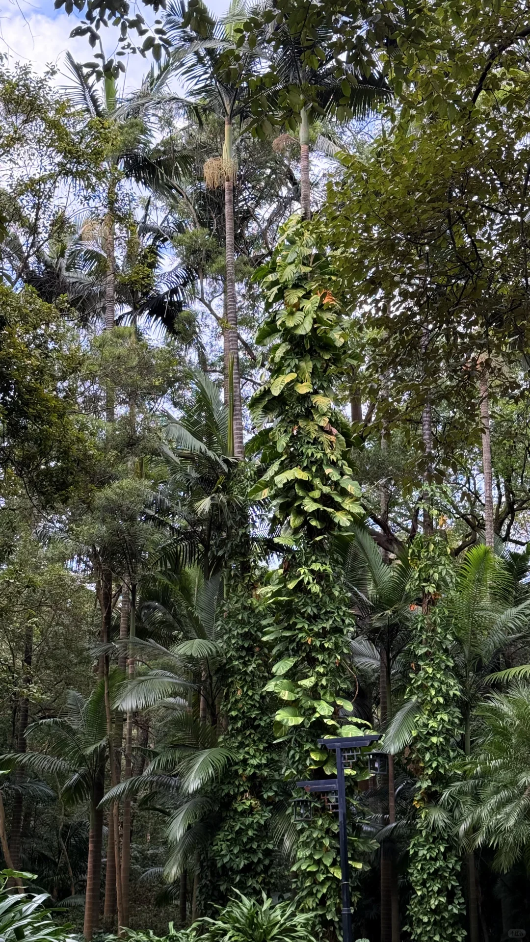 广西4天3晚旅游攻略（柳州篇）DAY3